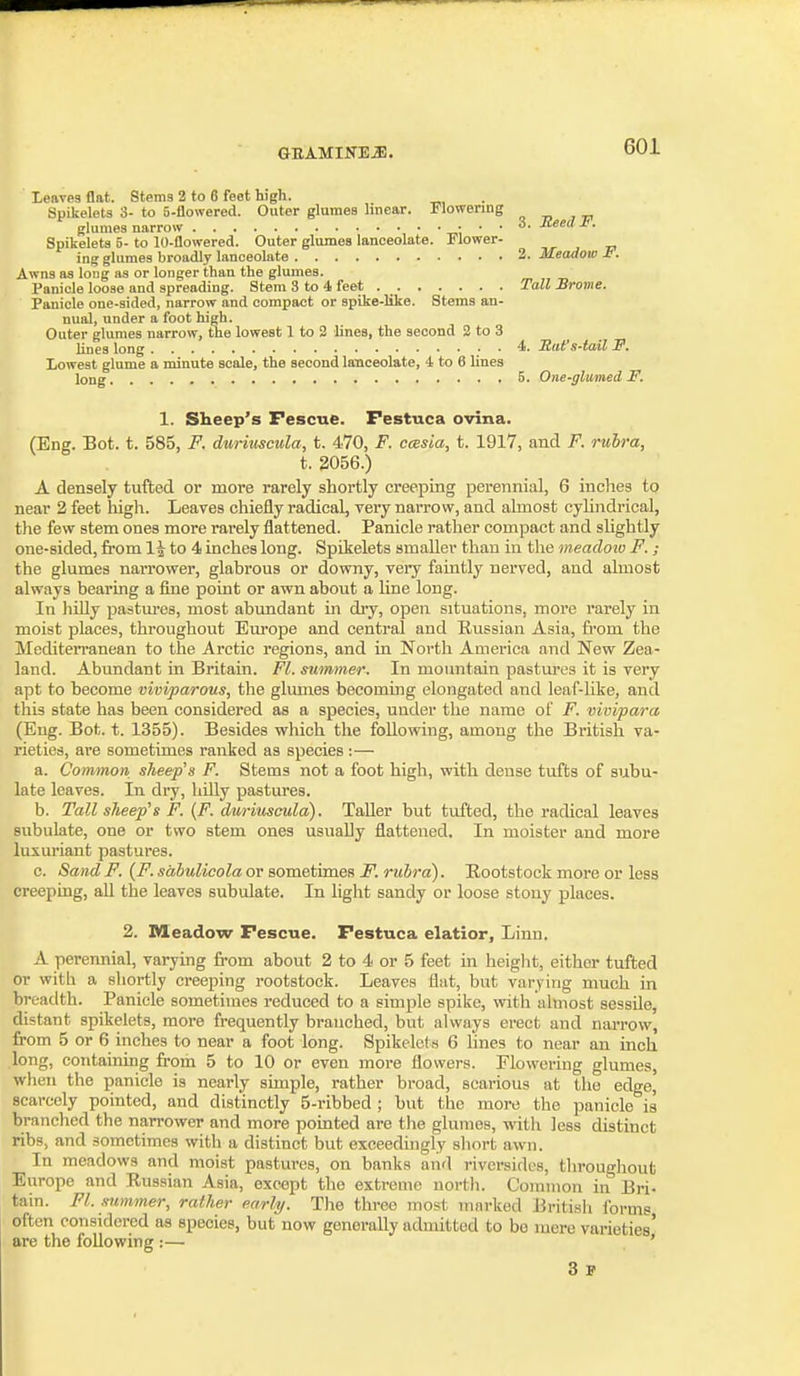 Leaves flat. Stems 2 to 6 feet high. Spikelets 3- to 5-flowered. Outer glumes linear. Flowenng _ glumes narrow • ■ • ^' Spikelets 5- to 10-Qowered. Outer glumes lanceolate. Flower- ing glumes broadly lanceolate 2. Meadow £. Awns as long as or longer than the glumes. Panicle loose and spreading. Stem 3 to 4 feet Tall Brome. Panicle one-sided, narrow and compact or spike-like. Stems an- nual, under a foot high. Outer glumes narrow, the lowest 1 to 3 lines, the second 2 to 3 lines long 4. Rat's-tail F. Lowest glume a minute scale, the second lanceolate, 4 to 6 lines long 5. One-gliimed F. 1. Sheep's Fescue. Pestuca ovina. (Eng. Bot. t. 585, F. duriuscwla, t. 470, F. ccBsia, t. 1917, and F. rubra, t. 2056.) A densely tufted or more rarely shortly creeping perennial, 6 inches to near 2 feet high. Leaves chiefly radical, yery narrow, and almost cylindrical, the few stem ones more rarely flattened. Panicle rather compact and sUghtly one-sided, from IJ to 4 inches long. Spikelets smaller than in the meadoio F.; the glumes narrower, glabrous or downy, very faintly nerved, and almost always bearing a fine point or awn about a Une long. In Jiilly pastures, most abundant in diy, open situations, more rarely in moist places, throughout Europe and central and Russian Asia, from the MediteiTanean to the Arctic regions, and in North America and New Zea- land. Abundant in Britain. Fl. summer. In mountain pastures it is very apt to become viviparous, the glumes becoming elongated and lenf-like, and this state has been considered as a species, uuder the name of F. vivipara (Eng. Bot. t. 1355). Besides which the following, among the British va- rieties, are sometimes ranked as species :— a. Common sheep's F. Stems not a foot high, with dense tufts of subu- late leaves. In dry, hilly pastures. b. Tall sheep's F. {F. duriuscula). Taller but tufted, the radical leaves subulate, one or two stem ones usually flattened. In moister and more luxuriant pastures. o. Sand F. (F. sahulicola or sometimes F. rubra). Rootstock more or less creeping, all the leaves subulate. In light sandy or loose stony places. 2. Meadow Fescue. Festuca elatior. Linn. A perennial, varying ii-om about 2 to 4 or 5 feet in heiglit, either tufted or with a sliortly creeping rootstock. Leaves flat, but varying much in breadth. Panicle sometimes reduced to a simple spike, with almost sessile, distant spikelets, more frequently branched, but always erect and narrow, from 5 or 6 inches to near a foot long. Spikelets 6 lines to near an inch long, containing from 5 to 10 or even moi-e flowers. Flowering glumes, when the panicle is nearly simple, rather broad, scarious at the edge, scarcely pointed, and distinctly 5-ribbed ; but the more the panicle is branched the narrower and more pointed are the glumes, with less distinct ribs, and sometimes with a distinct but exceedingly short awn. In meadows and moist pastures, on banks and riversides, tlirougliout Europe and Russian Asia, except the extreme north. Common in Bri- tain. FL summer, rather early. The three most marked Britisli forms often considered as species, but now generally admitted to bo mere varieties' are the following :— ' 3 P