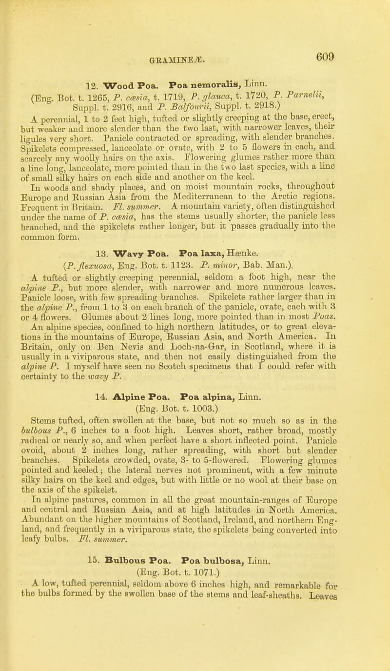 GEA-MIlTEiE. 12. Wood Poa. Poa nemoralis, Linn. (Eng. Bot. t. 1265, P. casta, t. 1719, P. glauca, t. 1720, P. Parnelii, Suppl. t. 2916, and P. Balfotirii, Siippl. t. 2918.) A perennial, 1 to 2 feet high, tufted or sUghtly creeping at the base, erect, but weaker and more slender than the two last, with narrower leaves, then* ligules very short. Panicle contracted or spreading, with slender brandies. Spikelets compressed, lanceolate or ovate, with 2 to 5 flowers in each, and scarcely any woolly hau-s on the axis. Flowering glumes rather more than a line long, lanceolate, more pomted than in the two last species, with a line of small silky hau's on each side and another on the keel. In woods and shady places, and on moist mountain rocks, throughout Eui'ope and Russian Asia fi-om the Mediterranean to the Arctic regions. Frequent La Bi'itain. Fl. summer. A moimtain variety, often distinguished under the name of P. ccesia, has the stems usually shorter, the panicle less branched, and the spikelets rather longer, but it passes gradually into the common form. 13. Wavy Poa. Poa laxa, Heenke. {P.Jlexuosa, Eng. Bot. t. 1123. P. minor, Bab. Man.), A tufted or shghtly creeping perennial, seldom a foot high, near the alpine P., but more slender, with narrower and more numerous leaves. Panicle loose, with few spreading branches. Spikelets rather larger than in the alpine P., fi-om 1 to 3 on each branch of the panicle, ovate, each with 3 or 4 flowers. Grlumes about 2 Unes long, more pointed than in most Poas. An alpme species, confined to high northern latitudes, or to great eleva- tions in the mountains of Europe, Russian Asia, and North America. In Britain, only on Ben Nevis and Loch-na-Gar, in Scotland, where it is usually in a viviparovis state, and then not easily distinguished from the alpine P. I myself have seen no Scotch specimens that I could refer with certaLaty to the ivavi/ P. 14. Alpine Poa. Poa alpina, Linn. (Eng. Bot. t. 1003.) Stems tufted, often swollen at the base, but not so much so as in the bulbous P., 6 inches to a foot high. Leaves short, rather broad, mostly radical or nearly so, and when perfect have a short inflected point. Panicle ovoid, about 2 inches long, rather spreading, with short but slender branches. Spikelets crowded, ovate, 3- to 5-flowered. Flowering glumes pointed and keeled; the lateral nerves not prominent, with a few minute silky hairs on the keel and edges, but with httle or no wool at their base on the axis of the spikelet. In alpine pastures, common in all the great mountain-ranges of Europe and central and Russian Asia, and at high latitudes in North Amerioa. Abundant on the higher mountains of Scotland, Ireland, and northern Eng- land, and frequently in a viviparous state, the spikelets being converted into leafy bulbs. Fl. summer. 15. Bulbous Poa. Poa bulbosa, Linn. (Eng. Bot. t. 1071.) A low, tufted perennial, seldom above 6 inches high, and remarkable for the bulbs formed by the swollen base of the stems and leaf-sheaths. Leaves