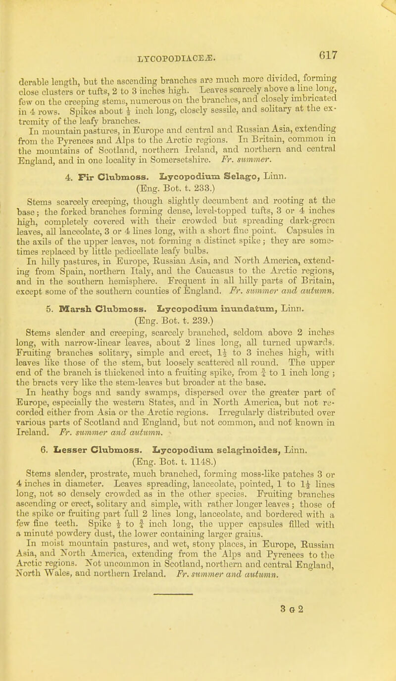 derable leiigtli, but the ascending branches nre much more divided, forming close clusters or tufts, 2 to 3 inches high. Leaves scarcely above a hne long few on the creeping sterna, numerous on the branches, and closely unbricated in 4 rows. Spikes about 4 inch long, closely sessile, and sohtai7 at the ex- tremity of the leafy branches. In mountain pastures, in Europe and central and Eussian Asia, extending from the Pyrenees and Alps to the Arctic regions. In Britain, common in the mountains of Scotland, northern Ireland, and northern and central England, and in one locality in Somersetsliire. Fr. summer. 4. Fir Cliibmoss. Iiycopodium Selago, Linn. (Eng. Bot. t. 233.) Stems scarcely creeping, though sUghtly decumbent and rooting at the base; the forked branches forming dense, level-topped tufts, 3 or 4 inches high, completely covered with their crowded but spreading dark-green leaves, all lanceolate, 3 or 4 hnes long, with a short fine point. Capsules in the axils of the upper leaves, not forming a distinct spike ; they are some- times re|3laced by little pedicellate leafy bulbs. In hilly pastiii-es, in Europe, Eussian Asia, and North America, extend- ing from Spain, northern Italy, and the Caucasus to the Arctic regions, and in the southern hemisphere. Frequent in all hiUy parts of Britain, except some of the southern counties of England. Fr. simmer arid autumn. 5. Marsh Clubmoss. Iiycopodium inundatum, Linn. (Eng. Bot. t. 239.) Stems slender and creeping, scarcely branched, seldom above 2 inches long, with narrow-linear leaves, about 2 lines long, all turned upwards. Fruiting branches solitary, simple and erect, IJ to 3 inches high, with leaves like those of the stem, but loosely scattered all round. The upper end of the branch is thickened into a fruiting spike, from f to 1 inch long ; the bracts very like the stem-leaves but broader at the base. In heathy bogs and sandy swamps, dispersed over the greater part of Europe, especially the western States, and in North America, but not ra- corded either fi-om Asia or the Arctic regions. Irregularly distributed over various parts of Scotland and England, but not common, and not known in Ireland. Fr. summer and autwmn. 6. Ziesser Clubmoss. Iiycopodium selaginoides, Linn. (Eng. Bot. t. 1148.) Stems slender, prostrate, much branched, forming moss-like patches 3 or 4 inches in diameter. Leaves spreading, lanceolate, pointed, 1 to 1^ lines long, not so densely crowded as in the other species. Fruiting branches ascending or erect, solitary and simple, with rather longer leaves ; those of the spike or fi'uiting part full 2 lines long, lanceolate, and bordered with a few fine teeth. Spike \ to ^ inch long, the upper capsules filled with a minute powdery dust, the lower containing larger grains. In moist mountain pastures, and wet, stony places, in Europe, Russian Asia, and North Am.erica, extending from the Alps and Pyrenees to the Arctic regions. Not uncommon in Scotland, northern and central England, North Wales, and northern Ireland. Fr. summer and autumn.