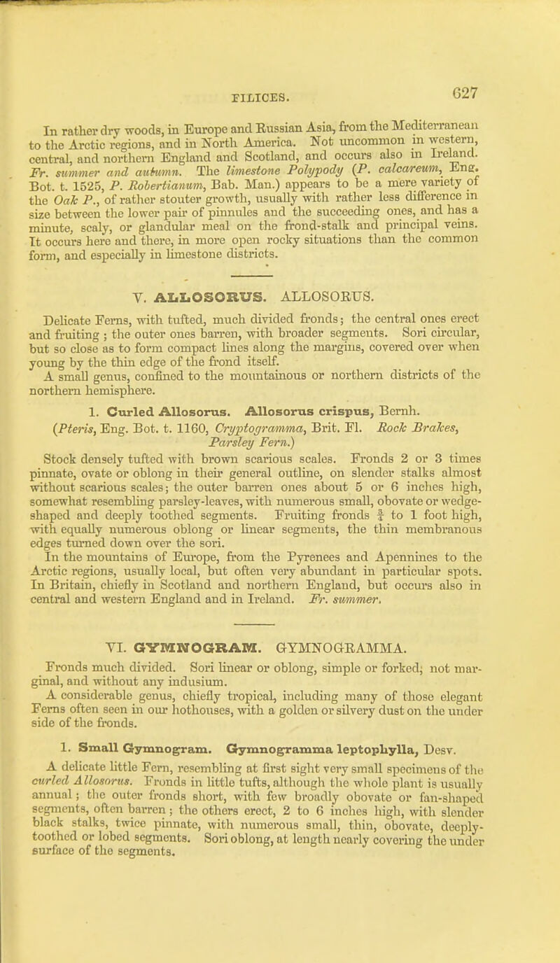 In rather dry woods, in Europe and Eussian Asia, from the Mediterranean to the Arctic regions, and in North America. Not uncommon m western, central, and northern England and Scotland, and occurs also in Ireland. Fr. summer and auhann. The limestone Polypody (P. caloareum, Ene. Bot. t. 1525, P. Rolertianum, Bab. Man.) appears to be a mere variety of the Oak P., of ratlier stouter growth, usually with rather less difference m size between the lower pair of pinnules and the succeeding ones, and has a minute, scaly, or glandular meal on the frond-stalk and principal veins. It occurs here and there, La more open roclcy situations than the common form, and especially in limestone districts. Y. AZiIiOSORUS. ALLOSORUS. Deheate Fems, mth tufted, much divided fronds; the central ones erect and fruiting ; the outer ones barren, with broader segments. Sori circular, but so close as to form compact lines along the margins, covered over when young by the thin edge of the frond itself. A small genus, confined to the moiuitainous or northern districts of the northern hemisphere. 1. Curled Allosorus. AUosorus crispus, Bemh. (Pteris, Eng. Bot. t. 1160, Cryptogramma, Brit. Fl. Rock Brakes, Parsley Fern.) Stock densely tufted with brown scarious scales. Fronds 2 or 3 times pinnate, ovate or oblong in their general outline, on slender stalks almost without scarious scales; the outer barren ones about 5 or 6 inches high, somewhat resembhng parsley-leaves, with numerous small, obovate or wedge- shaped and deeply toothed segments. Fruiting ft'onds f to 1 foot high, with equally numerous oblong or hnear segments, the thin membranous edges turned down over the sori. In the mountains of Em-ope, fr'om the Pyrenees and Apennines to the Arctic regions, usually local, but often very abundant in particular spots. In Britain, chiefly in Scotland and northern England, but occm-s also in central and western England and in Ireland. Fr. summer. VI. GYMMOGRAM. GYMNOGRAMMA. Fronds much divided. Sori linear or oblong, simple or forked; not mar- ginal, and without any iudusium. A considerable genus, chiefly tropical, including many of those elegant Fems often seen in our hothouses, with a golden or silvery dust on the under side of the fronds. 1. Small Gymnogram. Grymno^amma leptopliylla, Desv. A delicate httle Fern, resembling at first sight very small specimens of the curled Allosnrus. Fronds in little tufts, although the whole plant is usually annual; the outer fronds short, with few broadly obovate or fan-shaped segments, often barren; the others erect, 2 to 6 inclies high, with slender black stalks, twice pinnate, with numerous small, thin, obovate, deeply- toothed or lobed segments. Sori oblong, at length nearly covering the imder surface of the segments.