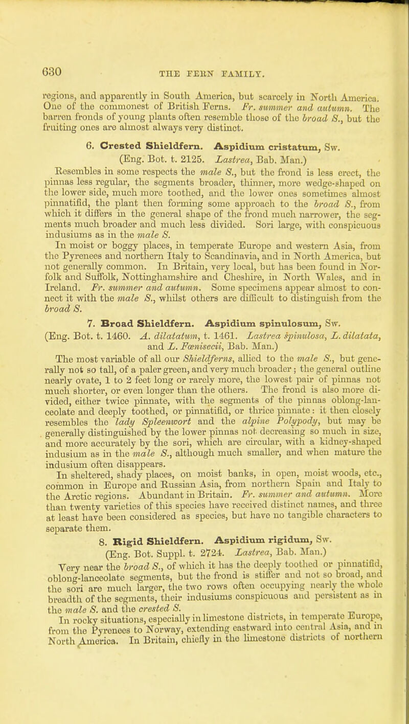 THE rEllX rAMILT. regions, and apparently in South America, but scarcely in North America. Ouo of the commonest of British Ferns. Fr. summer and autumn. The barren fronds of young plants often resemble those of the broad S., but the fruiting ones are almost always very distinct. 6. Crested Shieldfern. Aspidium cristatum, Sw. (Eng. Bot. t. 2125. Lasirea, Bab. Man.) Eesembles in some respects the male S., but the frond is less erect, the pinnas less regular, the segments broader, tliinner, more wedge-shaped on the lower side, much more toothed, and the lower ones sometimes almost jDinnatifid, the plant then forming some approach to the broad S., from which it differs in the general shape of the frond much narrower, the seg- ments much broader and much less divided. Sori large, with conspicuous indusiums as in the male S. In moist or boggy places, in temperate Europe and western Asia, fi-om the Pyrenees and northern Italy to Scandinavia, and in North America, but not generally common. In Britain, vei-y local, but has been found in Nor- folk and Suffolk, Nottinghamshire and Oheshu-e, in North Wales, and in Ireland. Fr. summer and autmnn. Some specimens appear almost to con- nect it with the male S., whilst others are dilBcult to distinguish from the broad S. 7. Broad Shieldfern. Aspidium spinulosum, Sw. (Eng. Bot. t. 1460. A. dilatatwn, t. 1461. Lasirea spinulosa, L.dilatata, and li. Fcenisecii, Bab. Man.) The most variable of aU om* SMeldferns, aUied to the male S., but gene- rally not so tall, of a paler green, and very much broader ; the general outUne nearly ovate, 1 to 2 feet long or rarely more, the lowest pan- of pinnaa not much shorter, or even longer than the others. The frond is also more di- vided, either twice pinnate, with the segments of the pinnas oblong-lan- ceolate and deeply toothed, or pinnatifid, or thrice pinnate: it then closely resembles the ladi/ Spleenwort and the alpine Polypody, but may be generally distinguished by the lower pinnas not decreasing so much in size, and more accurately by the sori, which are cfreular, with a kidney-shaped indusium as in the male S., although much smaller, and when mature the indusium often disappears. In sheltered, shady places, on moist banks, in open, moist woods, etc., coinmon in Europe and Russian Asia, from northern Spahi and Italy to the Ai'ctie regions. Abundant in Britain. Fr. summer and atdumn. More than twenty varieties of tliis species have received distinct names, and three at least have been considered as species, but have no tangible charact«rs to separate them. 8. Rigid Shieldfern. Aspidium rigidum, Sw. (Eng. Bot. Suppl. t. 2724. Lasirea, Bab. Man.) Very near the broad S., of which it has the deeply toothed or pinnatifid, oblong-lanceolato segments, but the frond is stiller and not so broad, and the sori are much larger, the two rows often occupymg nearly the whole breadth of the segments, their indusiums conspicuous and persistent as m the male S. and tlie crested S. . . , , t-, In rocky situations, especiaUy in limestone districts, m temperato Jiurope, from the Pyrenees to Norway, extending eastward into central Asm, and m North ^erica. In Britahi, chiefly in the Umestone districts of northern
