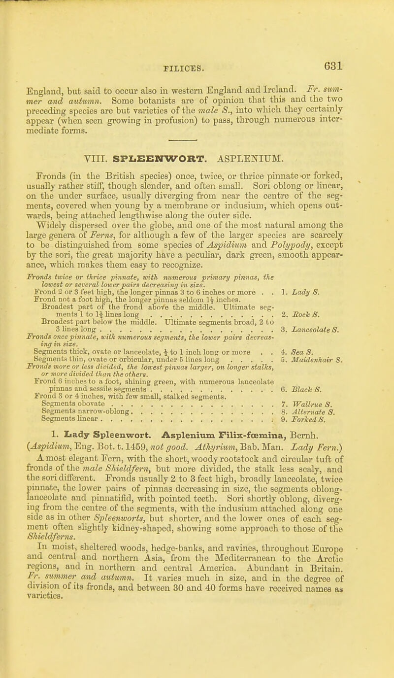 England, but said to occur also in western England and Ireland. Fr. swm- mer and autumn. Some botanists ai-e of opinion that this and the two preceding species are but varieties of the male 8., into which they certainly appear (when seen growing in profusion) to pass, through numerous inter- mediate forms. VIII. SPLEEWWORT. ASPLENITJM. Fronds (in the British species) once, twice, or thrice pinnate or forked, usually rather stiff, though slender, and often small. Sori oblong or linear, on the under surface, usually diverging from near the centre of the seg- ments, covered when young by a membrane or indusimn, which opens out- wards, being attached lengthwise along the outer side. Widely dispersed over the globe, and one of the most natural among the large genera of Ferns, for although a few of the larger species are scarcely to be distinguished from some species of Aspicluim and Polypody, except by the sori, the great majority have a peculiar, dark green, smooth appear- ance, which makes them easy to recognize. Fronds twice or thrice pinnate, with numerous primary pinnas, the lowest or several lower pairs decreasing in size. Frond 2 or 3 feet high, the longer pumas 3 to 6 inches or more . . 1. Ladi/ S. Frond not a foot hJ^h, the longer pinnaa seldom 1-| inches. Broadest part ot the frond abofe the middle. Ultimate seg- ments 1 to 1^ Unes long 2. Bock S. Broadest part below the middle. Ultimate segments broad, 2 to 3 lines long 3. Lanceolate 8. Fronds once pinnate, with numerous segments, the lower pairs decreas- ing in size. Segments thick, ovate or lanceolate, ^ to 1 inch long or more . . 4. Sea S. Segments thin, ovate or orbicular, under 5 lines long h. Maidenhair S. Fronds more or less divided, the lowest pinnas larger, on longer stalks, or more divided than the others. Frond 6 inches to a foot, shining green, with numerous lanceolate pinnas and sessile segments 6. Black S. Frond 3 or 4 inches, with few small, stalked segments. Segments obovate 7. Wallrue S. Segments narrow-oblong 8. Alternate S. Segments linear 9. Forked S. 1. Iiady Spleenwort. Asplenium Filix-foemina, Bemh. (Aspidium, Eng. Bot. 1.1459, not good. Atliyrimn, Bab. Man. Lady Fern.) A most elegant Fern, with the short, woody rootstock and circular tuft of fronds of the male Shieldfern, but more divided, the stalk less scaly, and the sori different. Fronds usually 2 to 3 feet high, broadly lanceolate, tvrice pinnate, the lower pairs of pinnas decreasing in size, the segments oblong- lanceolate and pinnatifid, with pointed teeth. Sori shortly oblong, diverg- ing frorn the centre of the segments, with the indusium attached along one side as in other Spleenworts, but shorter, and the lower ones of each seg- ment often shghtly kidney-shaped, showing some approach to those of the Shieldferns. In moist, sheltered woods, hedge-banks, and ravines, throughout Europe and central and northern Asia, from the Mediterranean to the Arctic regions, and in northern and central America. Abundant in Britain. Fr. summer and autumn. It varies much in size, and in the degree of division of its fronds, and between 30 and 40 forms have received names as varieties.