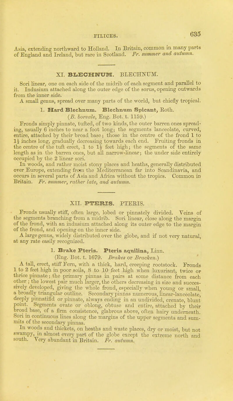 FILI0E3. Asia, extending northward to Holland. In Britain, common in many parts of England and Ireland, but rare in Scotland. Fr. simmer and autumn. XI. BIiECHNUM. BLECHNUM. Sori linear, one on each side of the midrib of each segment and parallel to it. Indusium attached along the outer edge of the sorus, opening outwards from the inner side. A small genus, spread over many parts of the world, but chiefly tropical. 1. Hard Blechnnm. Blechnum Spicant, Both. {B. boreale, Eng. Bot. t. 1159.) Fronds simply pinnate, tufted, of two kinds, the outer barren ones spread- ing, usually 6 inches to near a foot long; the segments lanceolate, curved, entire, attached by their broad base; those in the centre of the frond 1 to 1^ inches long, gradually decreasing towards each end. Fruiting fronds in the centre of the tuft erect, 1 to li feet high; the segments of the same length as in tlie barren ones, but all narrow-linear; the under side entirely occupied by the 2 linear sori. In woods, and rather moist stony places and heaths, generally distributed over Europe, extending from the Mediterranean far into Scandinavia, and occurs in several parts of Asia and Aii'ica without the tropics. Common in Britain. Fr. smnmer, rather late, and autumn. XII. PTCRXS. PTBEIS. Fronds usually stifi, often large, lobed or pinnately divided. Veins of the segments branching from a midrib. Sori linear, close along the margin of the frond, with an indusium attached along its outer edge to the margin of the frond, and opening on the imier side. A large genus, widely distributed over the globe, and if not vei-y natural, at any rate easily recognized. 1. Brake Pteris. Pteris aquilina, Linn. (Eng. Bot. t. 1679. Brakes or Bracken.) A taU, erect, stiff Fern, with a thick, hard, creeping rootstock. Fronds 1 to 2 feet high in poor soils, 8 to 10 feet high when luxuriant, twice or thrice pinnate; the primary pinnas in pairs at some distance from each other ; the lowest pair much larger, the others decreasing in size and succes- sively developed, giving the whole frond, especially when young or small, a broadly triangular outline. Secondary pinnas nmnerous, linear-lanceolate, deeply piimatifid or pinnate, always ending in an undivided, crenate, blunt point. Segments ovate or oblong, obtuse and entire, attached by their broad base, of a firm consistence, glabrous above, often haiiy underneath. Sori in continuous lines along the margins of the upper segments and sum- mits of the secondaiy pinnas. In woods and thickets, on heaths and waste places, dry or moist, but not swampy, m almost every part of the globe except the extreme north and south. Very abundant in Britain. Fr. autumn.