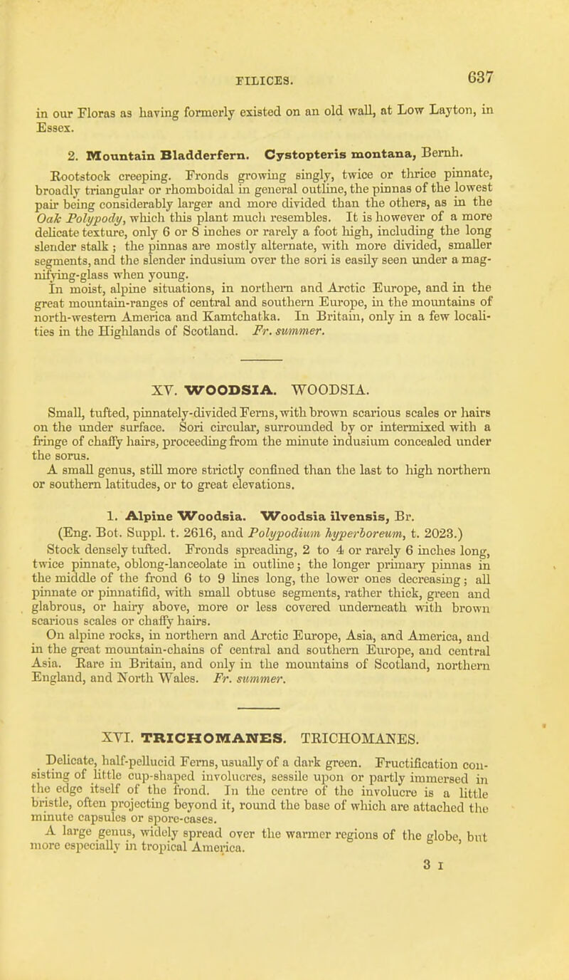 in our Floras as having formerly existed on an old wall, at Low Layton, in Essex. 2. Mountain Bladderfern. Cystopteris jnontana, Bemh. Eootstock creeping. Fronds growing singly, twice or tlirice pinnate, broadly triangular or rhomboidal in general outline, the pinnas of the lowest pair being considerably larger and more divided than the others, as in the Oah Polypody, which this plant mucli resembles. It is however of a more deUcate texture, only 6 or 8 inches or rarely a foot high, including the long slender stalk ; the pinnas are mostly alternate, with more divided, smaller segments, and the slender indusium over the sori is easily seen imder a mag- nifying-glass when young. In moist, alpine situations, in northern and Arctic Europe, and in the great mountain-ranges of central and southern Europe, m the mountains of north-westem America and Kamtchatka. In Britam, only in a few locaU- ties in the Highlands of Scotland. Fr. simmer. XV. WOODSIA, WOODSIA. Small, tufted, pinnately-divided Ferns, with brown scarious scales or hairs on the under surface. Sori circular, surrounded by or intermixed with a fringe of ch&Sy hairs, proceeding from the minute indusium concealed under the sorus. A small genus, still more strictly confined than the last to high northern or southern latitudes, or to great elevations. 1. Alpine TVoodsia. ^Voodsia ilvensis, Br. (Eng. Bot. Suppl. t. 2616, and Polypodium hyferloreum, t. 2023.) Stock densely tufted. Fronds spreading, 2 to 4 or rarely 6 inches long, twice pinnate, oblong-lanceolate in outline; the longer primary pinnas in the middle of the frond 6 to 9 lines long, the lower ones decreasing; all pinnate or pinnatifid, with small obtuse segments, rather thick, green and glabrous, or hairy above, more or less covered underneath with brown scarious scales or cbafiy hairs. On alpine rocks, in northern and Arctic Europe, Asia, and America, and in the great moimtain-chains of central and southern Em-ope, and central Asia. Eare in Britain, and only in the mountains of Scotland, northern England, and North Wales. Fr. summer. XVI. TRXCHOraANES. TRICHOMANES. Delicate, half-pellucid Fems, usually of a dark green. Fructification con- sisting of Uttle cup-shaped involucres, sessile upon or partly immersed in the edge itself of the frond. In the centre of the involucre is a little bristle, often projecting beyond it, round the base of which are attached the minute capsules or spore-cases. A large genus, -widely spread over the warmer regions of the globe but more especially in tropical Ameiica. ' 3 I