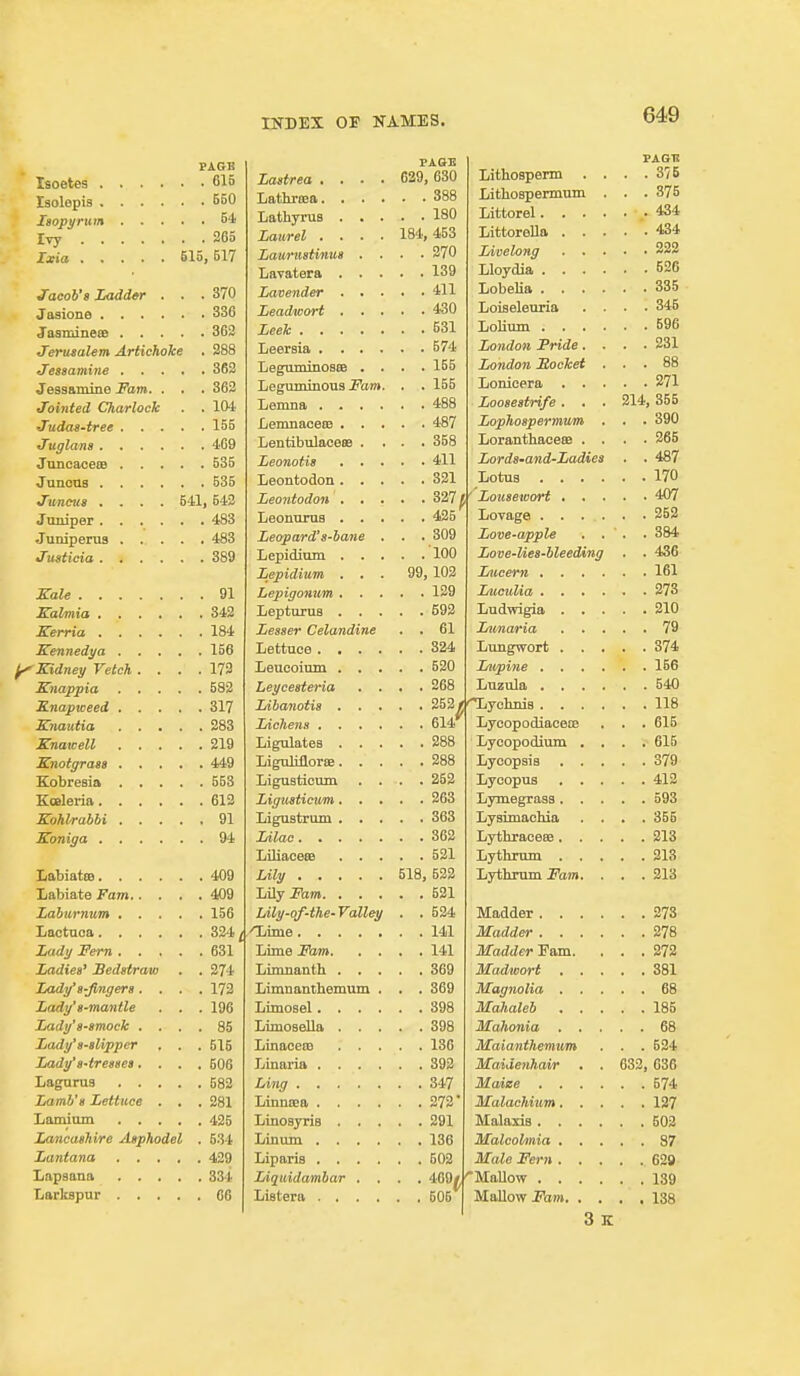 PAGE Lasirea .... PAGE 629, 630 Lithosperm . . PAGT! . . 376 560 388 Lithospermum . . . 375 64 180 265 Laurel .... 184, 453 434 617 Lamicatinua . . . 270 222 139 526 JTacob's Laddtr . . . 370 , , 411 335 336 430 Loiseleuria . . . . 345 362 531 596 Jerusalem ArUchoke . 288 574 London Fride. . . . 231 362 LeguminossB . . . . 155 London Socket . . . 88 Jessamine Fam. . , . 362 Leguminous Fam. . . 155 Jointed Charlock . . 104. Loosestrife. . . 214, 355 155 Lophoapermwm . . . 390 469 Lentibolaeece . . . . 358 LoranthaeeSB . . . . 365 535 411 Lorda-and-Ladies . . 487 535 170 Juncns .... 541 542 483 425 483 Leopard'a-hane . . . 309 Love-apple , . . .384 389 100 Love-Uea-hleeding . . 436 Lepidium . . . 99, 102 91 129 342 592 184 Lesser Celandine . . 61 . . 79 156 824 . , 374 Kidney Vetch .... 173 520 582 Leyceateria . . . . 268 540 317 • • 252* Lycopodiaceoe 283 614*^ . . 615 219 Lycopodium . . . . 615 449 288 . 379 553 Ligustioum . . . . 252 412 612 263 593 91 363 LyBimacliia . . . . 355 94 362 213 313 409 518, 522 Lythrum Fam. . . . 313 labiate Fam 409 521 156 Lily-of-the- Valley . . 524 273 324^ . , 141 , , 278 631 Madder Fam. . . 272 Zadies' Sedstraw . . 274 , , 369 381 Lady a-Jimgers. . . . 172 Limnanthemum . . . 369 . . 68 Lady' S'tnanile . . . 196 . . 398 185 Jjady's-sjnock . . , . 85 . . 398 , . 68 Lady'a-alipper . . . 515 136 ATaianthemimt . . 534 Lady'8-tresses.... 506 I .1 n CI. 392 H^aitienhai/T . . UOn/, 000 582 . . 347 . . 574 Lamh'a Lettuce . . , 281 . , 272* . . 127 425 , . 291 . . 502 Lancashire Asphodel . 5U 136 . . 87 439 , , 502 Male Fern . . . . . 629 334 Liqicidambar , . . .460( 66 3 K