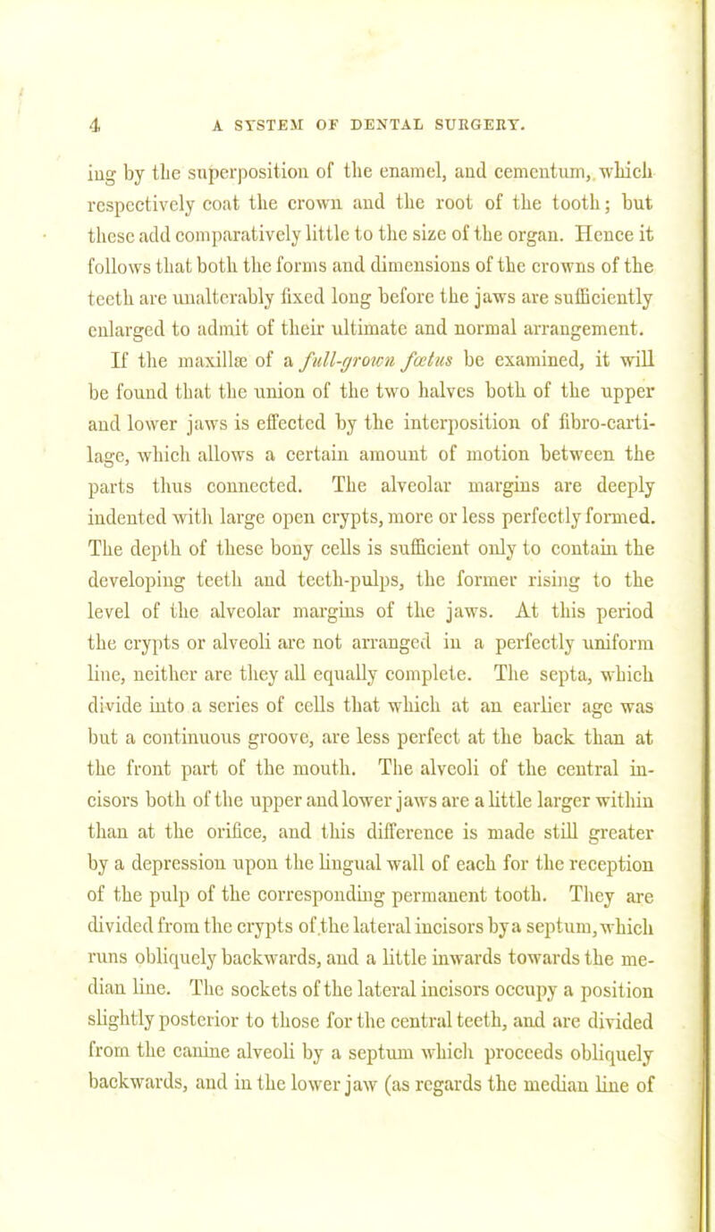 iiig by the superposition of the enamel, and cemcntum, which respectively coat the crown and the root of the tooth; but these add comparatively little to the size of the organ. Hence it follows that both the forms and dimensions of the crowns of the teeth are unalterably fixed long before the jaws are sufficiently enlarged to admit of their ultimate and normal arrangement. If the maxillae of a full-grown foetus be examined, it will be found that the union of the two halves both of the upper and lower jaws is effected by the interposition of fibro-carti- lage, which allows a certain amount of motion between the parts thus connected. The alveolar margins are deeply indented with large open crypts, more or less perfectly formed. The depth of these bony cells is sufficient only to contain the developing teeth and teeth-pulps, the former rising to the level of the alveolar margins of the jaws. At this period the crypts or alveoli are not arranged in a perfectly uniform line, neither are they all equally complete. The septa, which divide into a series of cells that which at an earlier age was but a continuous groove, are less perfect at the back than at the front part of the mouth. The alveoli of the central in- cisors bot h of the upper and lower jaws are a little larger within than at the orifice, and this difference is made still greater by a depression upon the Ungual wall of each for the reception of the pulp of the corresponding permanent tooth. They are divided from the crypts of.the lateral incisors by a septum, which runs obliquely backwards, and a little inwards towards the me- dian line. The sockets of the lateral incisors occupy a position slightly posterior to those for the central teeth, and are divided from the canine alveoli by a septum which proceeds obliquely backwards, aud in the lower jaw (as regards the median line of