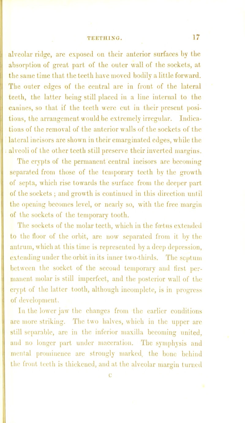 alveolar ridge, are exposed on their anterior surfaces by the absorption of great part of the outer wall of the, sockets, at the same time that the teeth have moved bodily a little forward. The outer edges of the central are in front of the lateral teeth, the latter being still placed in a line iuternal to the canines, so that if the teeth were cut in I heir present posi- tions, the arrangement would be extremely irregular. Indica- tions of the removal of the anterior walls of the sockets of the lateral incisors are shown in their emarginated edges, while the alveoli of I lie other teeth still preserve their inverted margins. The crypts of the permanent central incisors are becoming separated from those of the temporary teeth by the growth of septa, which rise towards the surface from the deeper part of the sockets ; and growth is continued in this direction until the opening becomes level, or nearly so, with the free margin of the sockets of the temporary tooth. The sockets of the molar teet h, which in the foetus extended to the floor of the orbit, are now separated from it by the antrum, which at this time is represented by a deep depression, extending under the orbit in its inner two-thirds. The septum between the socket of the second temporary and first per- manent molar is still imperfect, and the posterior wall of the crypt of the latter tooth, although incomplete, is in progress of development. 111 the lower jaw the changes from tin: earlier conditions are more striking. The two halves, which in the upper are still separable, are in the inferior maxilla becoming united, and no longer part, under maceration. The symphysis anil mental prominence are strongly marked the bone behind the front teeth is thickened, and at the alveolar margin turned