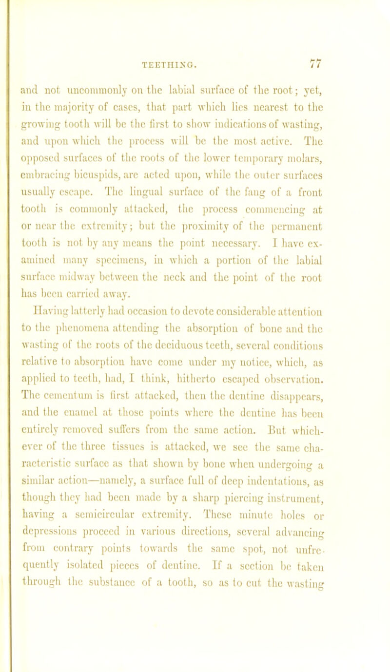and not uncommonly on the labial surface of the root; yet, in the majority of cases, that part which lies nearest to the growing tooth will be the first to show indications of wasting, and upon which the process will be the most active. The opposed surfaces of the roots of the lower temporary molars, embracing bicuspids, arc acted upon, while the outer surfaces usually escape. The lingual surface of the fang of a front tooth is commonly attacked, the process commencing at or near the extremity; but the proximity of the permanent tooth is not by any means the point necessary. I have ex- amined many specimens, in which a portion of the labial surface midway between the neck and the point of the root has been carried away. Having latterly had occasion to devote considerable attention to the phenomena attending the absorption of bone and the wasting of the roots of the deciduous teeth, several conditions relative to absorption have come under my notice, which, as applied to teeth, had, I think, hitherto escaped observation. The cementum is first attacked, then the dentine disappears, and the enamel at those poiuts where the dentine has been entirely removed suffers from the same action. But which- ever of the three tissues is attacked, we sec the same cha- racteristic surface as that shown by bone when undergoing a similar action—namely, a surface full of deep indentations, as though they had been made by a sharp piercing instrument, having a semicircular extremity. These mimiti holes or depressions proceed in various directions, several advancing from contrary points towards the same spot, not unfrc- quently isolated pieces of dentine. If a section be taken through the substance of a tooth, so as to cut, the wasting