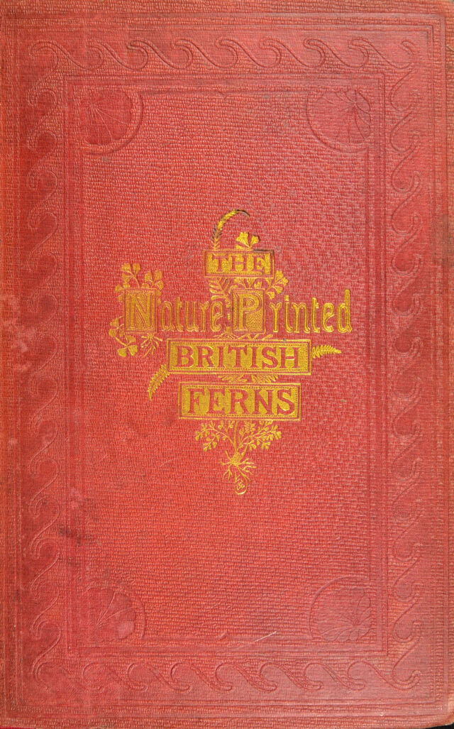 digitised image 1