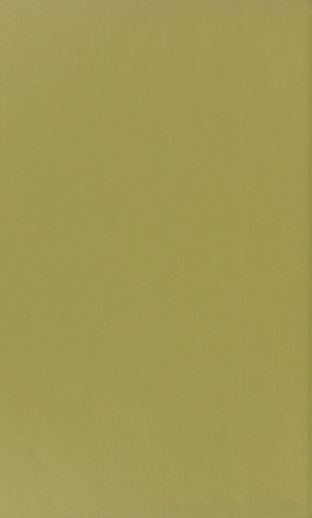 digitised image 2