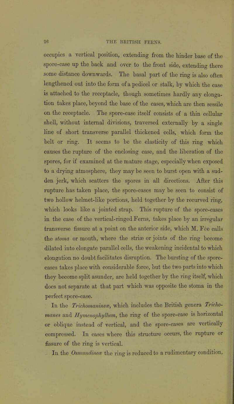 occupies a vertical position, extending from the hinder base of the spore-case up the back and over to the front side, extending there some distance downwards. The basal part of the ring is also often lengthened out into the form of a pedicel or stalk, by which the case is attached to the receptacle, though sometimes hardly any elonga- tion takes place, beyond the base of the cases, which are then sessile on the receptacle. The spore-case itself consists of a thin cellular sheU, without internal divisions, traversed externally by a single line of short transverse parallel thickened cells, which form the belt or ring. It seems to be the elasticity of this ring which causes the rupture of the enclosing case, and the liberation of the spores, for if examined at the mature stage, especially when exposed to a drying atmosphere, they may be seen to burst open with a sud- den jerk, which scatters the spores in all directions. After this rupture has taken place, the spore-cases may be seen to consist of two hoUow helmet-like portions, held together by the recurved ring, which looks like a jointed strap. This rupture of the spore-cases in the case of the vertical-ringed Ferns, takes place by an ii-regular transverse fissure at a point on the anterior side, which M. Fee calls the stoma or mouth, where the striae or joints of the ring become dilated into elongate parallel cells, the weakening incidental to which elongation no doubt facilitates disruption. The bursting of the spore- cases takes place with considerable force, but the two parts into which they become split asunder, are held together by the ring itself, which does not separate at that part which was opposite the stoma in the perfect spore-case. In the Trichomaninece, which includes the British genera Tricho- manes and Hymenophi/llum, the ring of the spore-case is horizontal or oblique instead of vertical, and the spore-cases are vertically compressed. In cases where this structure occurs, the rupture or fissure of the ring is vertical. In the Osmundinece the ring is reduced to a rudimentary condition.
