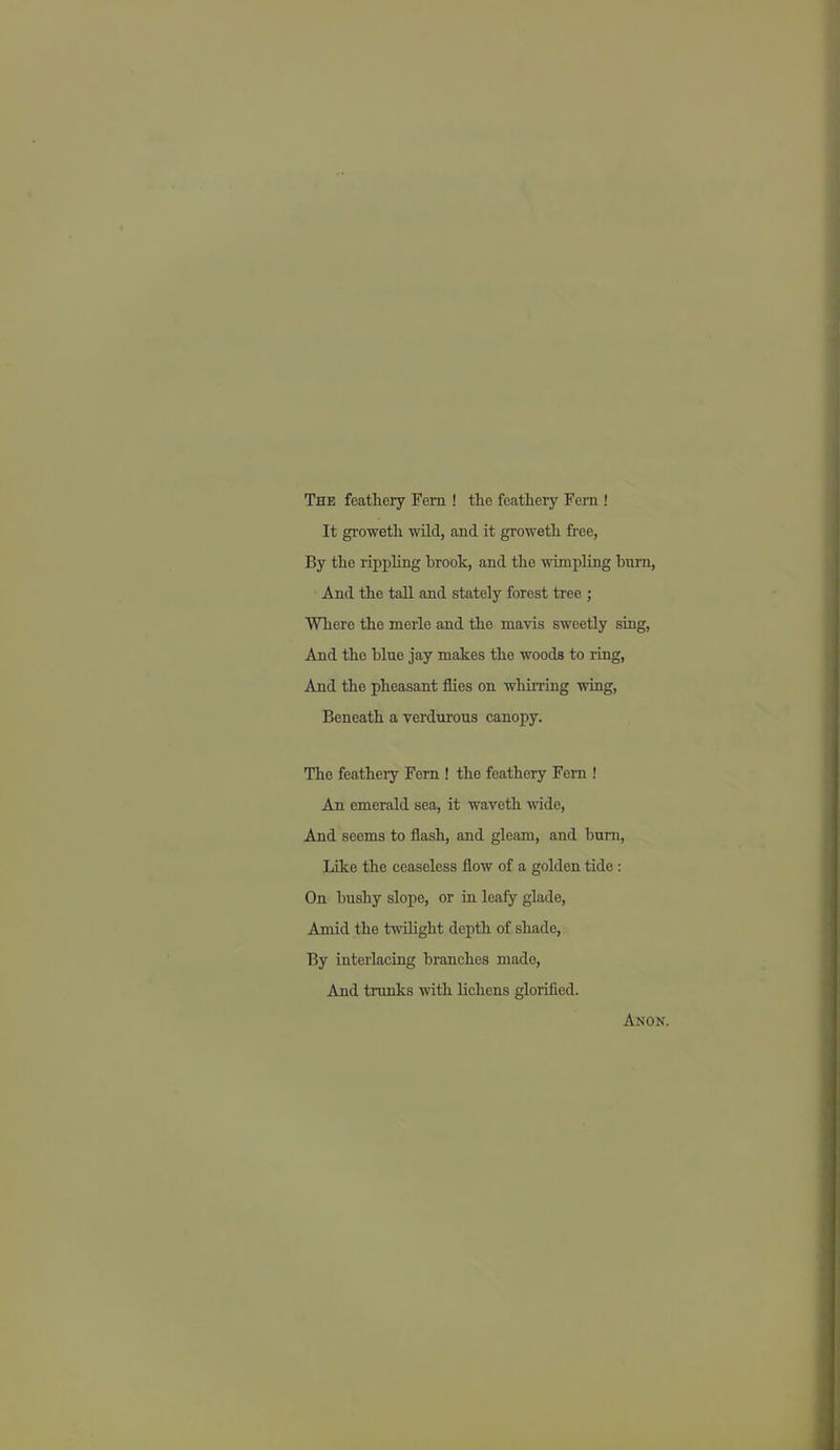 The feathery Fern ! tlie feathery Fern ! It groweth -wild, and it groweth free, By the rippling hrook, and the -vdmpling bum, And the tall and stately forest tree ; Where the merle and the mavis sweetly sing, And the blue jay makes the woods to ring, And the pheasant flies on whirring wing. Beneath a verdurous canopy. The feathery Fern ! the feathery Fern ! An emerald sea, it waveth wide. And seems to ilash, and gleam, and bum, like the ceaseless flow of a golden tide : On bushy slope, or in leafy glade, Amid the tnolight depth of shade. By interlacing branches made. And trunks with lichens glorified. Anon.
