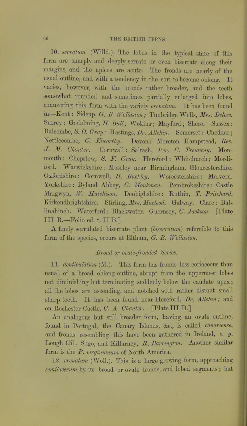 10. serratum (WiUd.). The lobes in the typical state of this form are sharply and deeply serrate or even biserrate along their margins, and the apices are acute. The fronds are nearly of the usual outline, and with a tendency in the sori to become oblong. It varies, however, with the fronds rather broader, and the teeth somewhat rounded and sometimes partially enlarged into lobes, connecting this form with the variety crenatum. It has been found in—Kent: Sidcup, G. B. Wolladon; Tunbridgo Wells, Mrs. Delves. Surrey: Godahning, H. Bull; Woking; Mayford; Sherc. Sussex: Balcombe, S. 0. Gray; Hastings, Dr. Allchin. Somerset: Cheddar; Nettlecombe, C. Elworthj. Devon: Moreton Hampstead, Rev. J. M. Chanter. Cornwall: Saltash, Rev. C. Trelaxony. Mon- mouth: Chepstow, 8. F. Gray. Hereford: ■^Vhitchurch; Mordi- ford. Warwickshii'e: Moseley near Birmingham. Gloucestershire. Oxfordshire: Comwell, H. Buckley. Worcestershire: Malvern. Yorkshire: Byland Abbey, C. Monkman. Pembrokeshire: Castle Malgwyn, W. Hutchison. Denbighshire: Buthin, T. Pritclmrd. Kirkcudbrightshire. Stirling, Mrs. Macleocl. Galway. Clare: Bal- linahiach. Waterford: Blackwater. Guernsey, C. Jackson. [Plate III B.—FoHo ed. t. IIB.] A finely serrulated biserrate plant (biserratnm) referrible to this form of the species, occurs at Eltham, G. B. Wollaston. Broad or ovate-fronded Series. 11. denticulatum (M.). This fonn has fronds less coriaceous than usual, of a broad oblong outline, abrupt from the uppennost lobes not diminishing but terminating suddenly below the caudate apex; all the lobes are ascending, and notched with rather distant small sharp teeth. It has been found near Hereford, Dr. Allchin; and on Rochester Castle, C. A. Chanter. [Plate III D.] An analogous but still broader form, having an ovate outline, foimd in Portugal, the Canary Islands, &c., is called canariense, and fronds resembling this have been gathered iu Ireland, c. g. Lough Gill, Sligo, and Killarney, R. Barrington. Another similar form is the P. virginianimi of North America. 12. crenatum (WoU.). This is a large growing foim, approaching semilacenm by its broad or ovate fi-onds, and lobed segments; but