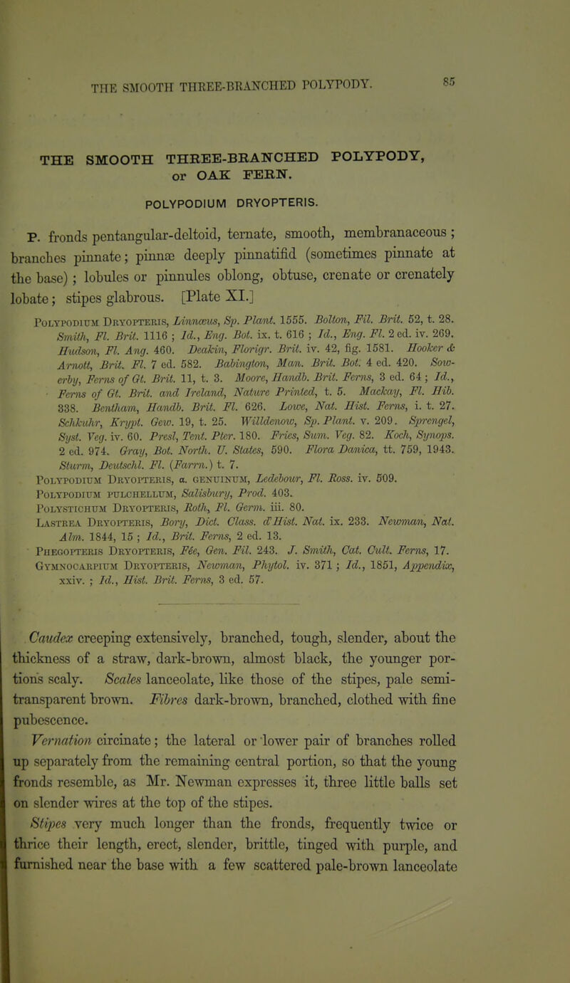 THE SMOOTH THREE-BRANCHED POLYPODY, or OAK FERN. POLYPODIUM DRYOPTERIS. P. fronds pentangular-deltoid, temate, smooth, membranaceous ; branches pinnate; pinnai deeply pinnatifid (sometimes pinnate at the base) ; lobules or pinnules oblong, obtuse, crenate or crenately lobate; stipes glabrous. [Plate XI.] PoLYPODiuM Dryopteris, lAntUEUs, Sp. Plant. 1555. Bolton, Fil. Brit. 62, t. 28. Smith, Fl. Brit. 1116 ; Id., Eng. Bot. ix. t. 616 ; Id., Eng. Fl. 2 ed. iv. 269. ffudsm, Fl. Ang. 460. DeaUn, Floi-igr. Brit. iv. 42, fig. 1581. Hooker & Amott, Brit. Fl. 7 eel. 582. Babington, Man. Brit. Bot. 4t ed. 420. Sow- erby, Ferns of Gt. Brit. 11, t. 3. Moore, Handb. Brit. Ferns, 3 ed. 64 ; Id., Ferns of Gt. Brit, and Ireland, Nature Printed, t. 5. Mackay, Fl. Rib. 338. Bcntham, Handb. Brit. Fl. 626. Lowe, Nat. Hist. Ferns, i. t. 27. Sehkuhr, Krypt. Gew. 19, t. 25. Willdenow, Sp. Plant, v. 209. Sprengel, Syst. Veg. iv. 60. Presl, Tent. Ptcr. 180. Fries, Sum. Veg. 82. Koch, Synojjs. 2 ed. 974. Gray, Bot. North. U. States, 690. Flora Hanica, tt. 759, 1943. Sturm, Deutschl. Fl. {Farm.) t. 7. PoLYPODiUiM Dryofteris, o. genuintjm, Lcdebour, Fl. Ross. iv. 609. PoLYPODiUM PULCHELLITM, Salisbury, Prod. 403. PoLYSTicHUM Dryopterls, Rothy Fl. Germ. iii. 80. LASTREiV Dryopteris, Bonj, Diet. Class. cCHist. Nat. ix. 233. Newman, Nat. Aim. 1844, 15 ; Id., Brit. Ferns, 2 ed. 13. Phegopteris Dryoi»teris, FSe, Gen. Fil. 243. /. Smith, Cat. Cult. Ferns, 17. Gymnocarpium Dryopteris, Newman, Phytol. iv. 371 ; Id., 1851, Ajipendix, xxiv. ; Id., Hist. Brit. Fern^, 3 ed. 67. Caudex creeping extensively, branched, tough, slender, about the thickness of a straw, dark-brown, almost black, the younger por- tions scaly. Scales lanceolate, like those of the stipes, pale semi- transparent brown. Fibres dark-brown, branched, clothed with fine pubescence. Vernation circinate; the lateral or lower pair of branches rolled up separately from the remaining central portion, so that the young fronds resemble, as Mr. Newman expresses it, three little balls set on slender wires at the top of the stipes. Stipes very much longer than the fronds, frequently twice or thrice their length, erect, slender, brittle, tinged with purple, and famished near the base with a few scattered pale-brown lanceolate