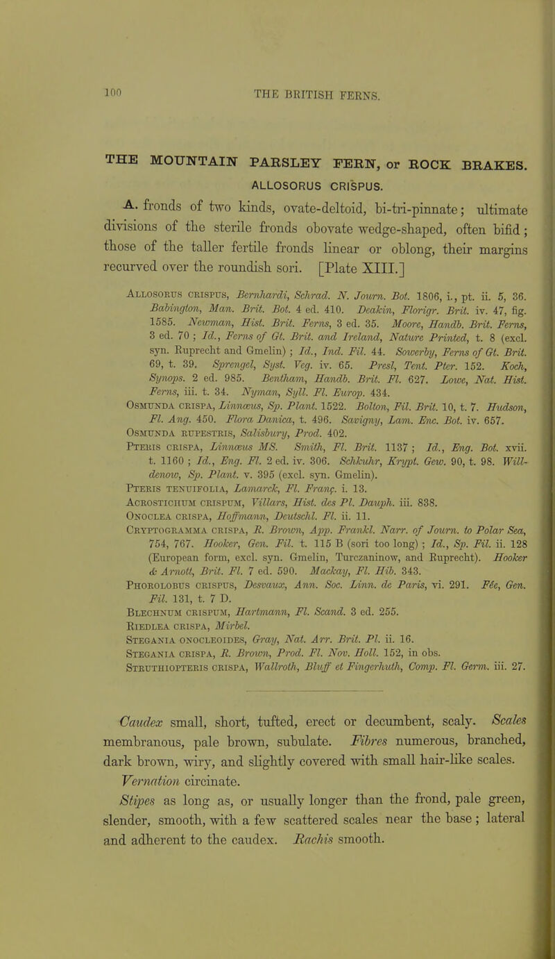 THE MOUNTAIN PARSLEY FERN, or ROCK BRAKES. ALLOSORUS CRISPUS. A. fronds of two kinds, ovate-deltoid, bi-tri-pinnate; xdtimate divisions of tlie sterile fronds obovate wedge-shaped, often bifid; those of the taller fertile fronds linear or oblong, their margins recurved over the roundish sori. [Plate XIII.] Allosorus ceispus, Bernhardt, Schrad. N. Journ. Bot. 1806, i., pt. ii. 5, 36. Bahington, Mam,. Brit. Bot. 4 ed. 410. Deakin, Florigr. Brit. iv. 47, fig. 1585. Newman, Hist. Brit. Ferns, 3 ed. 35. Moore, Handh. Brit. Ferns, 3 ed. 70 ; Id., Ferns of Gt. Brit, and Ireland, Nature Printed, t. 8 (excl. syn. Ruprecht and Gmelin); Id., Ind. Fil. 44. Sowerby, Ferns of Gt. Brit. 69, t. 39. Sprengel, Syst. Veg. iv. 65. Presl, Tent. Pier. 152. Koch, Synops. 2 ed. 985. Bentliam, Handh. Brit. Fl. 627. Lowe, Nat. Hist. Ferns, iii. t. 34. Nyman, Syll. Fl. Europ. 434. OssnxNDA CRISP A, Linnceus, Sp. Plant. 1522. Bolton, Fil. Brit. 10, t. 7. Hudson, Fl. Ang. 450. Flora Danica, t. 496. Savigny, Lam. Enc. Bot. iv. 657. OSMUNDA ETJPESTRis, Salisbury, Prod. 402. Pteris crispa, Linnanis MS. Smith, Fl. Brit. 1137 ; Id., Eng. Bot. xvii. t. 1160 ; Id., Eng. Fl. 2 ed. iv. 306. Schkuhr, Erypt. Gew. 90, t. 98. Will- denow, Sp. Plant, v. 395 (excl. syn. Gmelin). Pteris tenuifolia, Lamarck, Fl. Franf. i. 13. Acrostichum crispum, Villars, Hist, dcs PI. Daxiph. iii. 838. Onoclea crispa, Hoffmann, Deutschl. Fl. ii. 11. Cryptogramma crispa, R. Brown, Aj>p. Frankl. Narr. of Joum. to Polar Sea, 754, 767. Hooker, Gen. Fil. t. 115 B (sori too long); Id., Sp. Fil. ii. 128 (European form, excl. syn. Gmelin, Turczaninow, and Ruprecht). Hooker <£; ArnoU, Brit. Fl. 7 ed. 590. Mackay, Fl. Hib. 343. Phorolobus crispus, Desvaux, Ann. Soc. Linn, de Paris, vi. 291. FSe, Gen. Fil. 131, t. 7 D. Blechnum crispum, Hartmann, Fl. Scand. 3 ed. 255. Riedlea crispa, Mirbel. Stegania onocleoides, G)-ay, Nat. Arr. Brit. PI. ii. 16. Stegania crispa, B. Brown, Prod. Fl. Nov. Holl. 152, in obs. Struthiopteris crispa, Wallroth, Bluff et Fingerhuth, Comp. Fl. Gei-m. iii. 27. Caudex small, short, tufted, erect or decumbent, scaly. Scales membranous, pale brown, subulate. Fibres numerous, branched, dark brown, wiry, and slightly covered with small hair-like scales. Vernation circinate. Stipes as long as, or usually longer than the frond, pale green, slender, smooth, with a few scattered scales near the base; lateral and adherent to the caudex. Rachis smooth.