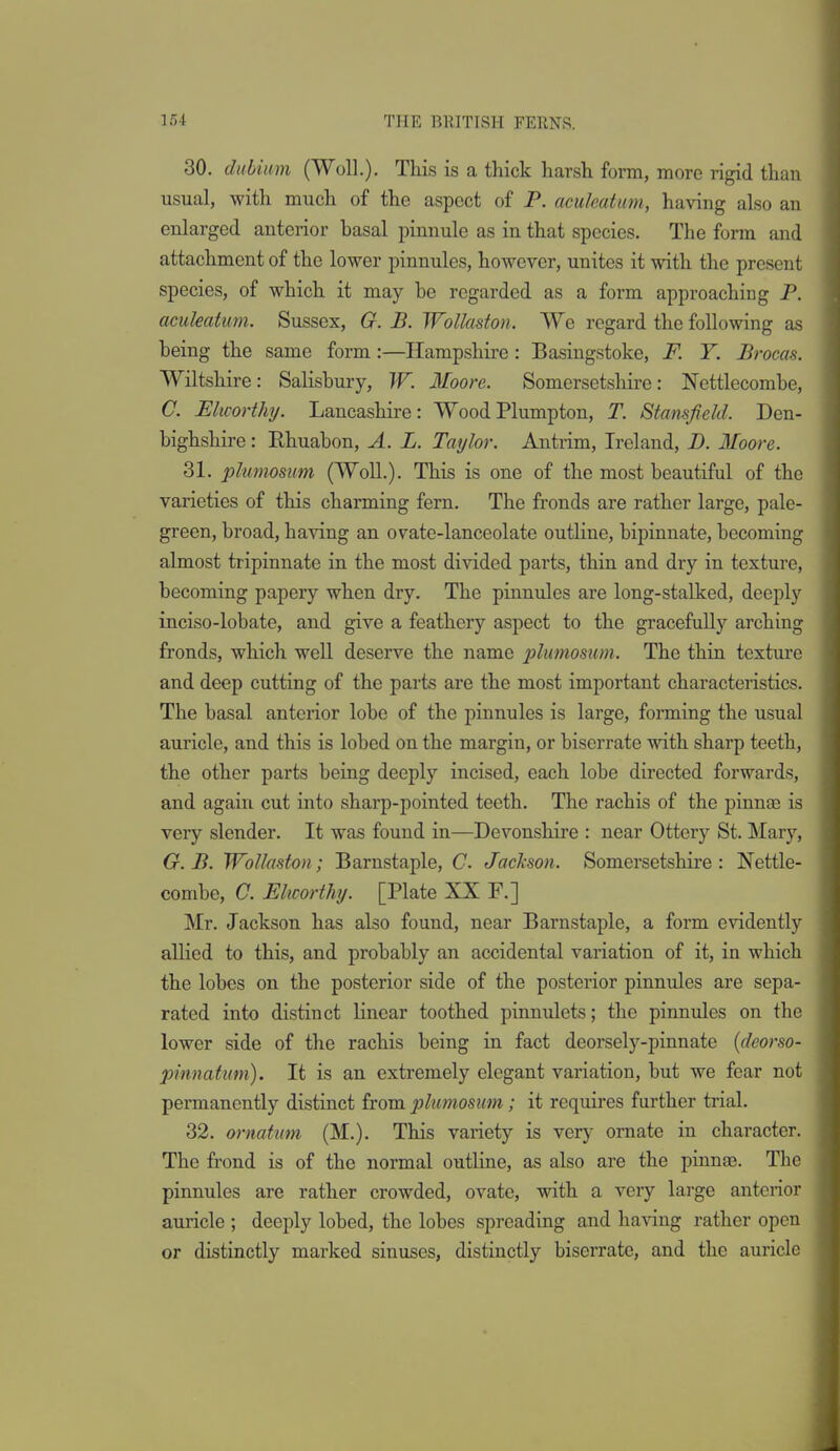 30. dubiim (Woll.). This is a thick harsh form, more rigid than usual, with much of the aspect of P. aculeatuni, having also an enlarged anterior basal pinnule as in that species. The form and attachment of the lower pinnules, however, unites it with the present species, of which it may be regarded as a form approaching P. aculeatum. Sussex, G. B. WoUaston. We regard the following as being the same form:—Hampshire: Basingstoke, F. Y. Brocas. Wiltshire: Salisbury, W. Moore. Somersetsliire: Nettlecombe, C. Elworthy. Lancashire: WoodPlumpton, T. Stansfield. Den- bighshire : Ehuabon, A. L. Taylor. Antrim, Ireland, B. Moore. 31. plumosum (Woll.). This is one of the most beautiful of the varieties of this charming fern. The fronds are rather large, pale- green, broad, having an ovate-lanceolate outline, bipinnate, becoming almost tripinnate in the most divided parts, thin and dry in texture, becoming papery when dry. The pinnules are long-stalked, deeply inciso-lobate, and give a feathery aspect to the gracefully arching fronds, which well deserve the name plumosum. The thin texture and deep cutting of the parts are the most important characteristics. The basal anterior lobe of the pinnules is large, fonning the usual auricle, and this is lobed on the margin, or biserrate with sharp teeth, the other parts being deeply incised, each lobe directed forwards, and again cut into sharp-pointed teeth. The rachis of the pinnce is very slender. It was found in—Devonshire : near Ottery St. Mary, G. B. Wollasfon; Barnstaple, C Jackson. Somersetshire: Nettle- combe, C. Ehcorthy. [Plate XX F.] Mr. Jackson has also found, near Barnstaple, a form evidentl}- allied to this, and probably an accidental variation of it, in which the lobes on the posterior side of the posterior pinnules are sepa- rated into distinct linear toothed pinnulets; the pinnules on the lower side of the rachis being in fact deorsely-pinnate (deorso- pinnafum). It is an extremely elegant vai'iation, but we fear not permanently distinct from plumosum; it requires further trial. 32. ornatum (M.). This variety is very ornate in character. The frond is of the normal outline, as also are the pinna9. The pinnules are rather crowded, ovate, with a very large anterior auricle ; deeply lobed, the lobes spreading and having rather open or distinctly marked sinuses, distinctly biserrate, and the auricle