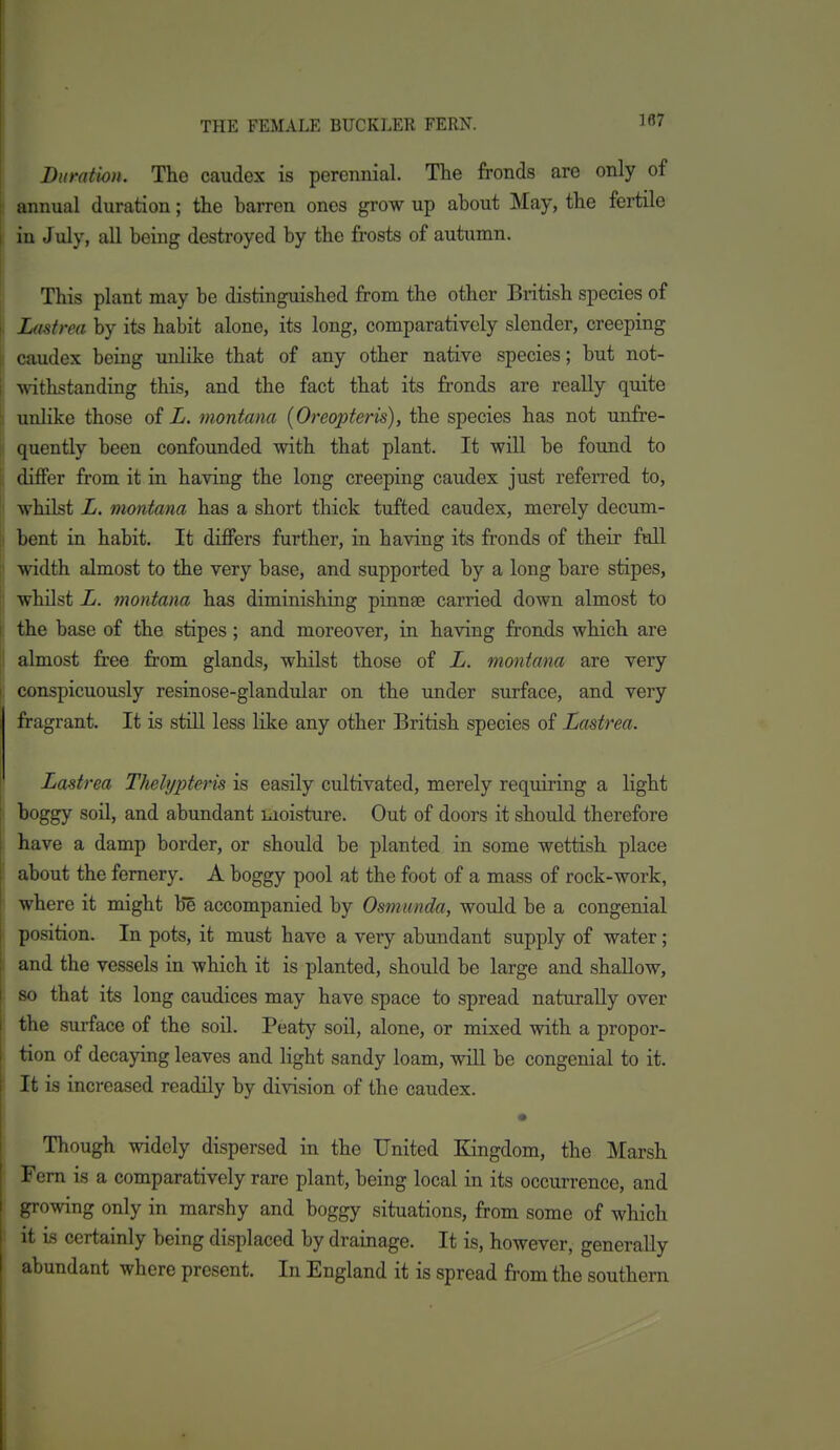 Duration. The caudex is perennial. The fronds are only of , annual duration; the barren ones grow up about May, the fertile in July, all being destroyed by the frosts of autumn. j This plant may be distinguished from the other British species of Lastrea by its habit alone, its long, comparatively slender, creeping caudex being unlike that of any other native species; but not- withstanding this, and the fact that its fronds are really quite unlike those of L. montana {Oreopteris), the species has not imfre- quently been confounded with that plant. It will be found to differ from it in having the long creeping caudex just referred to, whilst L. montana has a short thick tufted caudex, merely decum- bent in habit. It differs further, in having its fronds of their full width almost to the very base, and supported by a long bare stipes, whilst L. montana has diminishing pinnae carried down almost to Ithe base of the stipes; and moreover, in having fronds which are almost free from glands, whilst those of L. montana are very conspicuously resinose-glandular on the under surface, and very fragrant. It is still less like any other British species of Lastrea. ' Lastrea Thelypteris is easily cultivated, merely requiring a light i boggy soil, and abundant laoisture. Out of doors it should therefore ; have a damp border, or should be planted in some wettish place ' about the fernery. A boggy pool at the foot of a mass of rock-work, 1 where it might b? accompanied by Osmunda, would be a congenial I position. In pots, it must have a very abundant supply of water; I and the vessels in which it is planted, should be large and shallow, 1 80 that its long caudices may have space to spread naturally over ' the surface of the soil. Peaty soil, alone, or mixed with a propor- . tion of decaying leaves and light sandy loam, will be congenial to it. \ It is increased readily by division of the caudex. Though widely dispersed in the United Kingdom, the Marsh Fern is a comparatively rare plant, being local in its occurrence, and growing only in marshy and boggy situations, from some of which : it is certainly being displaced by drainage. It is, however, generally abundant where present. In England it is spread from the southern