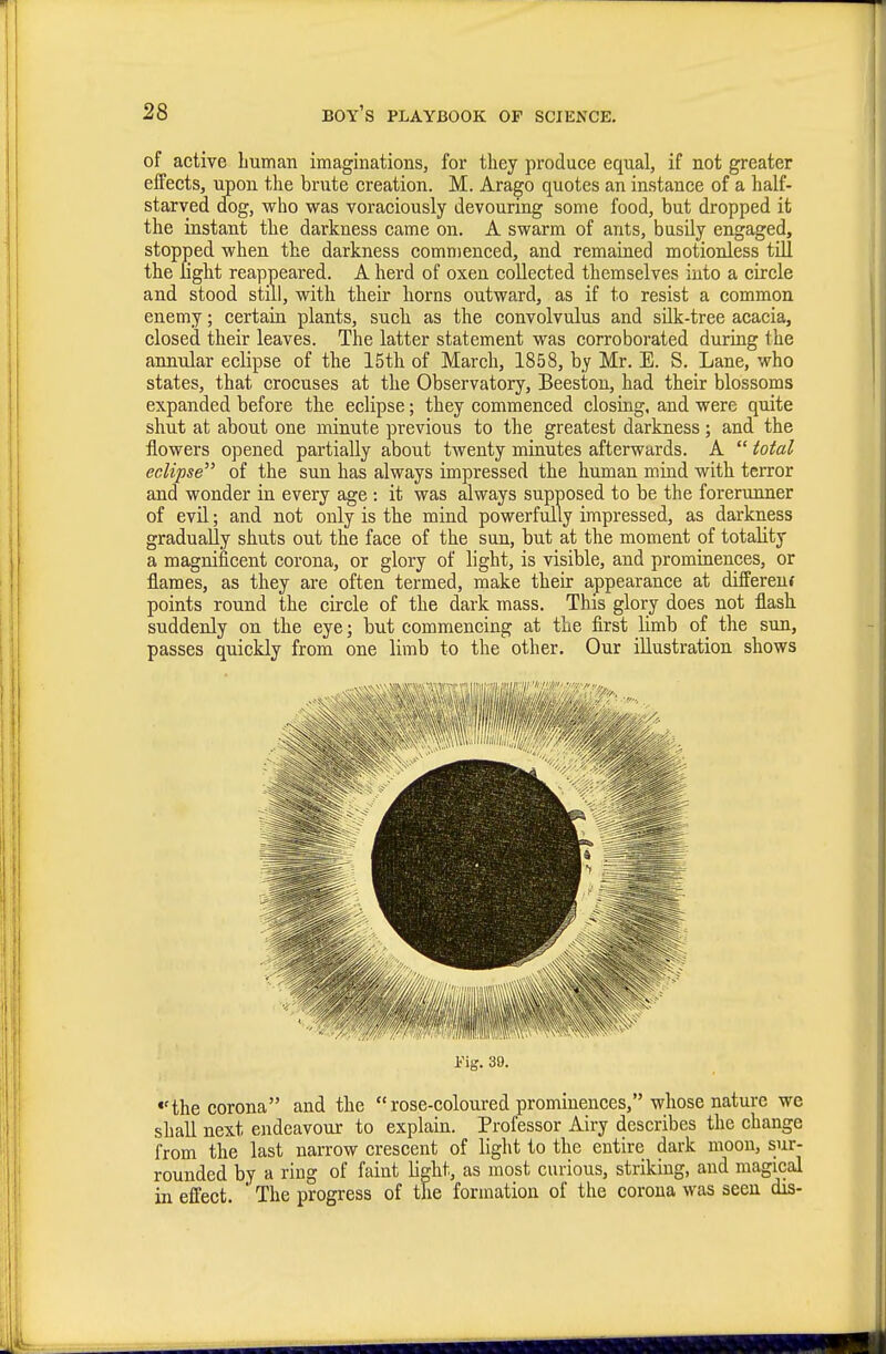 of active human imaginations, for they produce equal, if not greater effects, upon the brute creation. M. Arago quotes an instance of a half- starved dog, who was voraciously devouring some food, but dropped it the instant the darkness came on. A swarm of ants, busily engaged, stopped when the darkness commenced, and remained motionless till the fight reappeared. A herd of oxen collected themselves into a circle and stood still, with their horns outward, as if to resist a common enemy; certain plants, such as the convolvulus and sUk-tree acacia, closed their leaves. The latter statement was corroborated during the annular eclipse of the 15th of March, 1858, by Mr. E. S. Lane, who states, that crocuses at the Observatory, Beeston, had their blossoms expanded before the eclipse; they commenced closing, and were quite shut at about one minute previous to the greatest darkness ; and the flowers opened partially about twenty minutes afterwards. A  total eclipse''' of the sun has always impressed the human mind with terror and wonder in every age : it was always supposed to be the forerunner of evE; and not only is the mind powerfully impressed, as darkness gradually shuts out the face of the sun, but at the moment of totality a magnificent corona, or glory of light, is visible, and prominences, or flames, as they are often termed, make their appearance at differeuf points round the circle of the dark mass. This glory does not flash suddenly on the eye; but commencing at the first limb of the sun, passes quickly from one limb to the other. Our illustration shows Fig. 39. •'the corona and the rose-coloured prominences, whose nature we shall next endeavour to explain. Professor Airy describes the change from the last narrow crescent of light to the entire dark moon, sur- rounded by a ring of faint light, as most curious, striking, and magical in effect.  The progress of the formation of the corona was seen dis-