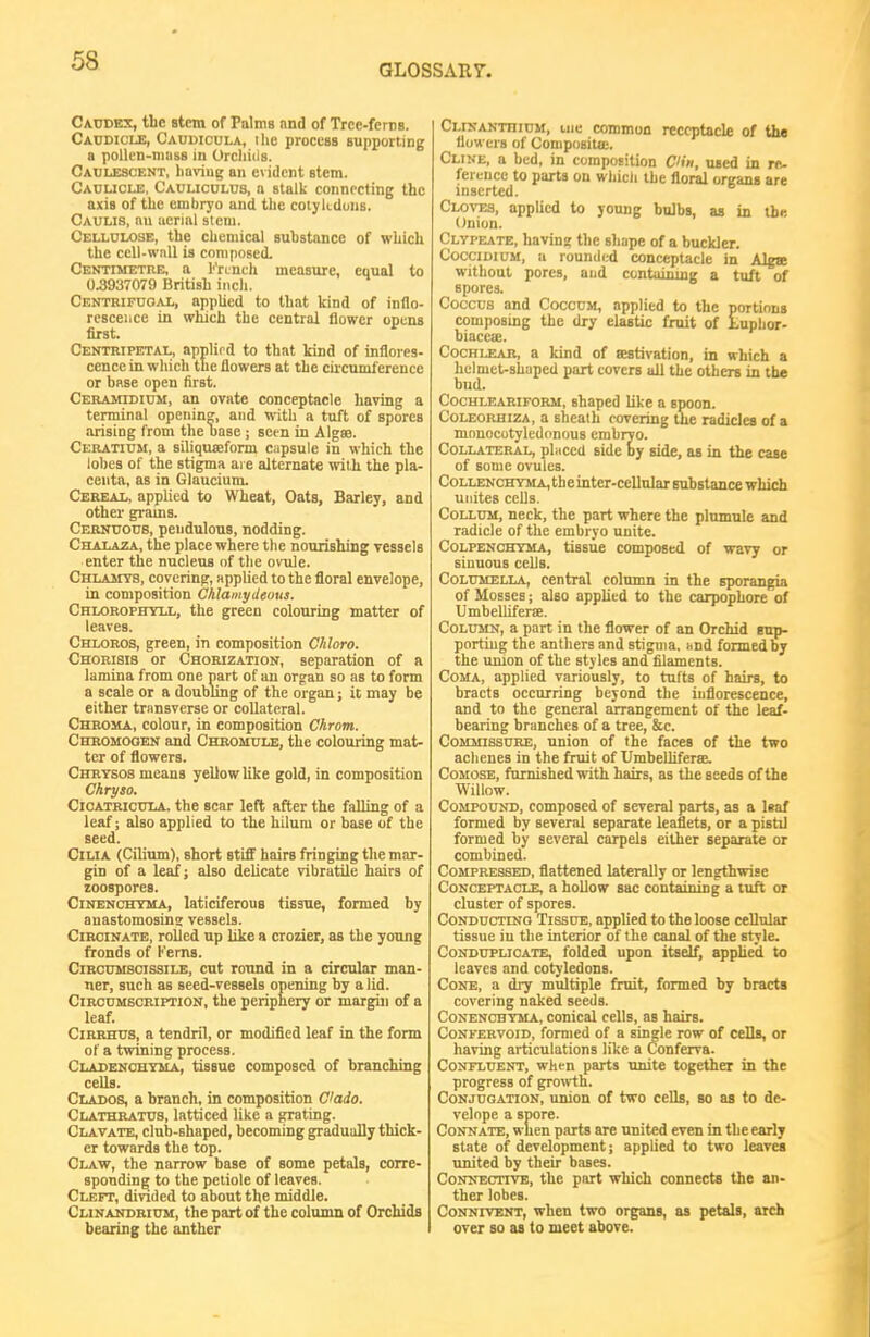 GL0SSAR7. Cacdes:, the stem of Palms nnd of Trcc-ferrs. Caudicle, Cauuicula, I he process Bupporting a pollen-mass in Orcliiils. Cablescent, having an evident stem. Cauuclb, Caulicclus, a stalk connecting the axis of the embryo and the cotykduns. Caulis, nu aerial stem. Cellulose, the chemical substance of which the ccU-wnll is composed. Centimethe, a French measure, equal to 0.3937079 British inch. CENTBipnoAL, applied to that kind of inflo- rescence in which the central flower opens first. Centripetal, applied to that kind of inflores- cence in which the flowers at the cii'cumference or bp.se open first. CERAMIDI0M, an ovate conceptacle having a terminal opening, and with a tuft of spores arising from the base ; seen in Algse. Ceratium, a siliquseform capsule in which the lobes of the stigma are alternate with the pla- centa, as in Glauciunu Cereal, applied to Wheat, Oats, Barley, and other grams. Cerntjous, pendulous, nodding. Chalaza, the place where the nourishing vessels enter the nucleus nf the ovule. Chlamys, coverinfr, applied to the floral envelope, in composition CMamydeoui. Chlorophyll, the green colouring matter of leaves. Chloros, green, in composition Chloro. Chorisis or Chorization, separation of a lamina from one part of an organ so as to form a scale or a doubling of the organ; it may be either transverse or collateral. Chroma, colour, in composition Chrom. Chromooen and Chromule, the colouring mat- ter of flowers. Chrysos means yellow like gold, in composition Chryso. CiCATBicniA, the sear left after the falling of a leaf; also applied to the hilum or base of the seed. Cilia (Cilium), short stiff hairs fringing the mar- gin of a leaf; also delicate vibratile hairs of zoospores. Cinenchyma, laticiferous tissue, formed by anastomosins vessels. CiRCiNATE, rolled up like a crozier, as the young fronds of Kerns. Ciroumscissile, cut round in a circular man- ner, such as seed-vessels opening by a lid. CiRCDMSCRiPTioN, the periphery or margin of a leaf. CiRRHUS, a tendril, or modified leaf in the form of a twining process. Cladenchyma, tissue composed of branching cells. Clados, a branch, in composition Ciado. Clathratus, latticed like a gating. Clavate, club-shaped, becoming gradually thick- er towards the top. Claw, the narrow base of some petals, corre- sponding to the petiole of leaves. Cleft, divided to about the middle. CLiNANDRitni, the part of the column of Orchids bearing the anther CLiNANTninM, iiic common receptacle of tha (lowers of Coniposita:. Cline, a bed, in composition CUn, used in re- ferciicc to parts on whicli the floral organs are inserted. Cloves, applied to young bnlbg, as in tbi; Onion. Clypeate, having the shape of a buckler. CocciDiuM, a roun(lr;d conceptacle in Algje without pores, and ccntainmg a tuft of spores. CoccDS and Coccum, applied to the portions composing the dry elastic fruit of Lupbor- biacete. Cochlear, a kind of sestivation, in which a helmet-shaped part covers all the others in the bnd. Cochleariform, shaped like a spoon. CoLEORHizA, a shcaih covering the radicles of a mnuocotyledonous embryo. Collateral, placed side by side, as in the case of some ovules. CoLLENCHYMA,tbeinter-cellnlar substance which unites cells. CoLUjM, neck, the part where the plumule and radicle of the embryo unite. CoLPENCHYMA, tissuc composed of wavy or sinuous cells. Columella, central column in the sporangia of Mosses; also applied to the carpophore of Umbelliferae. Column, a part in the flower of an Orchid snp- portiug the anthers and stigma, and formed by the union of the styles and filaments. Coma, applied variously, to tufts of hairs, to bracts occurring beyond the inflorescence, and to the general arrangement of the leaf- bearing branches of a tree, &c. Commissure, union of the faces of the two achenes in the fruit of Umbelliferae. CoMOSE, famished with hairs, as the seeds of the Willow. Compound, composed of several parts, as a leaf formed by several separate leaflets, or a pistil formed by several carpels either separate or combined. Compressed, flattened laterally or lengthwise Conceptacle, a hollow sac containing a tjift or cluster of spores. CoNDUCTiNO Tissue, applied to the loose cellular tissue in the interior of the canal of the style. CoNDUFLicATE, folded upon itself, apphed to leaves and cotyledons. Cone, a dry multiple fruit, formed by bracts covering naked seeds. Conenchyma, conical cells, as hairs. CoNFEBVoiD, formed of a single row of cells, or having articulations like a Conferva. Confluent, when parts unite together in the progress of growth. Conjugation, union of two cells, so as to de- velnpe a spore. Connate, when parts are united even in the early state of development; applied to two leaves united by their bases. Connective, the part which connects the an- ther lobes. Connivent, when two organs, as petals, arch over so aa to meet above.