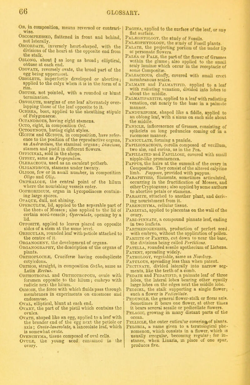 Ob, in composition, means revKricd or contrari- wise. Obcompressed, flattcnca in front and behind, not laterally. Obcorda-it., inversely licart-shaped, with tlie divisions of the licart at the opiioaitc end from the stalk. Oblono. about J as lofig as broad; elliptical, obtuse at each end. Obovate, reversely ovate, the broad part of the egg being uppermost. Obsolete, inipcrlectly developed or abortive; applied to the calyx when it is in the lorm of a rim. Obtuse, not pointed, with a rounded or blunt tcrniinalion. Obvolute, margins of one leaf alternately over- lapping those of the leaf opposite to it. OcHREA, boot, applied to the sheathing stipule of I'olygonacea;. OcTANDROus, having eight stamens, OcTO, eight, in comjiosition Oct. OcTOGTNons, haniig eight styles. CECI0M and (Ecious, in eomposiiion, have refer- ence to the position of the reproductive organs, as .4nrf)'fl!ciHm, the staminal organs; IHmcious, stamen and pistil in different flowers. Officinai., sold in the shops. Offset, same as PropnguUim. Oleraceoos, used as an esculent potherb. Olioandrous, stamens under twenty. Oligos, few or in small number, in composition OUgo and OlUi. Omphalode, the central point of the hilum where the nourishing vessels enter. OoPHORiDiUM, organ in Lycopodiacese contain- ing large spores. Opaque, dull, not shining. Operculum, lid, applied to the separable part of the thecii of Mosses; also applied to the lid ol certain seed-vessels; Operculate, opening by a lid. Opposite, applied to leaves placed on opposite sides of a stem at the same level. Orbicular, rounded leaf with petiole attached to the centre of it. Organogeny, the development of organs. Organography, the description of the organs of plants. Orthoploce*, Cruciferse having couduplicate cotylcdoiLs. Orthos, straight, in composition Ortlto, same as Latin Rectus. Orthotropal and Orthotropous, ovule with foramen opposite to the liiium; embryo with radicle next the hiium. Osmose, the force with which fluids pass through membranes in experiments on exosmose and endosmose. Oval, elliptical, blunt at each end. Ovary, the part of the pistil which contains the ovules. Ovate, shaped like an egg, applied to a leaf with the broader end of the egg next the petiole or axis ; Ovate-lanceolate, a lanceolate leaf, which is somewhat ovate. OvENcnYJiA, tissue composed of oval ceUs. Ovule, the young seed couiauied in the ovarv. Pagina, applied to Uie surface of the leaf, or any flat surface. Pal.«ontoix)OY, the study of FoasUs. Pal^ophytolooy, the study of Kosfil plants. Palate, the projecting portion of the under lin 01 personate flowers. Palea or Pale, the part of the flower of GraBsen within the glume; also applied to the sniaii scaly lamina; which occur in the receptacle of Btmie Compositaj. Paleaceous, chaffy, covered with small erect membranous scales. Palmate and Palmatifid. applied to a leaf with radiating venation, diviued into lobes to about the middle. Palmati partite, applied to a leaf with radiating venation, cut nearly to the base in a palmate manner. Pandurifoem, shaped like a fiddle, applied to an oblong leaf, with a sinus on each side about the middle. PANicr.E, inflorescence of Grasses, consisting of spikelets on long peduncles coming off m a racemose manner. Paniculate, fonuing a panicle. Papilionaceous, corolla composed of vesillnm, two alee, and carina, as in the Pea. Papillated and Papillose, covered with small nipple-like prominences. Pappus, the hairs at the summit of the ovary in Coiupositse. They consist of the altered calycine limb. Pappose, provided with pappus. Paraphyses, filaments, sometimes articulated, occurring in the fructification of Mosses, and other Cryptogams; also applied by some authors to abortive petals or stamens. PARASirE, attached to another plant, and deriv- ing nourishment from it. Parenchyma, cellular tissue. Parietal, applied to placentas on the wall of the ovary. Pari-pinnate, a compound pinnate leaf, ending in two leaflets. Parthenogenesis, production of perfect seed . with embryo, without the application of pollen. Partite or Parted, cut down lo near the base, the divisions being called I'nrtitions. Patella, rounded sessile apothecium of Lichens. Patent, spreading widely. Pathology, vegetable, same as Nosolnttp. Patulous, spreading less than when patent. PECTtNATE, divided laterally into narrow seg- ments, like the teeth of a comb. Pedate and Pedatifid, a palmate leaf of three lobes, tlie lateral lobes bearing other equally large lobes on the edges next the middle lobe. Pedicel, the stalk supporting a single flower; such a flower is Pedicellate. j Peduncle, ihe general flower-stalk or floral axis. Sometimes it oears one flower, at other times it bears several sessile or pedicellate flowers. Pelagic, growing in many distant parts of the ocean. Pellicle, the outer cuticu'ar coverinjof plants. Pelobia, a name given to a teratoiogical phe- nomenon, which consists in a flower, wliich is usually irregular, becoming regular; for in- stance, when Linaria, ui place of one spur, produces five.