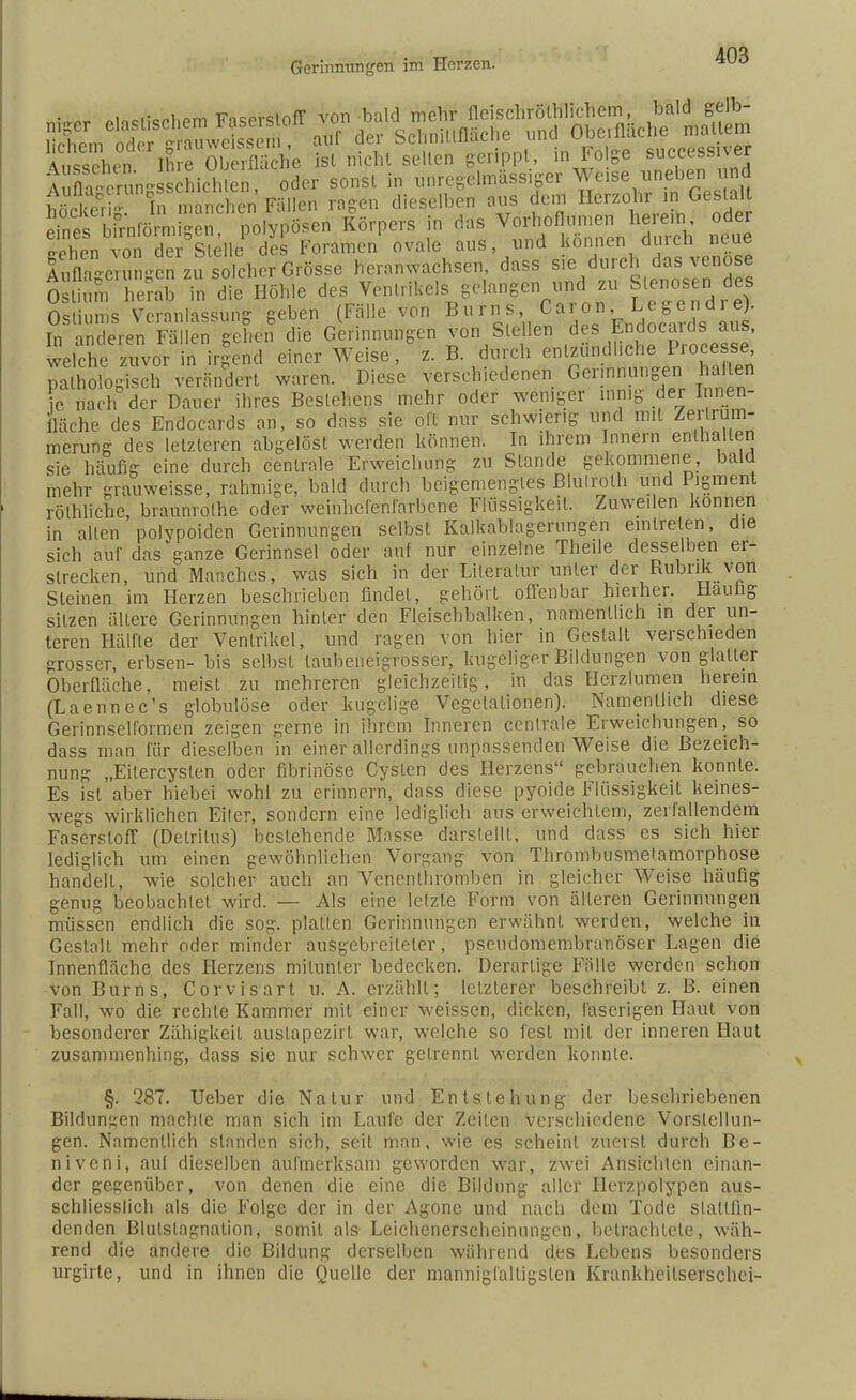 Ä^ßÖS.' Fällen ragen dieselben ans dem Herzohr in Gestalt S ™.U Körners in d,s Vorder, h= od« e-ehen von der Stelle des Foramen ovale aus, und können diucn neue fm^SzTIZ^&f^e heranwachsen, dass sie durch das venöse Ä heSb Z die Höhle des Ventrikels gelange,^ zu Brosen des Ostiun.s Veranlassung geben (Fälle von Burns, Cai° g ^^<fards aus In anderen Fällen gehen die Gerinnungen von Stellen des Endocauis aus, welche zuvor in irgend einer Weise, z. B durch ^^^SS& pathologisch verändert waren. Diese verschiedenen Gerinnungen halten e nach der Dauer ihres Bestehens mehr oder weniger innig der Innen- fläche des Endocards an, so dass sie oll nur schwierig und mit Zertrüm- merung des letzteren abgelöst werden können. In ihrem Innern enthalten sie häufig eine durch centrale Erweichung zu Stande gekommene, bald mehr grauweisse, rahmige, bald durch beigemengtes Blutroth und Pigment röthliche, braunrolhe oder weinhefenfarbene Flüssigkeit. Zuweilen können in alten polypoiden Gerinnungen selbst Kalkablagerungen eintreten, die sich auf das ganze Gerinnsel oder auf nur einzelne Theile desselben er- strecken, und Manches, was sich in der Literatur unter der Rubrik von Steinen im Herzen beschrieben findet, gehört offenbar hierher. Häutig sitzen ältere Gerinnungen hinter den Fleischbalken, namentlich in der un- teren Hälfte der Ventrikel, und ragen von hier in Gestalt verschieden grosser, erbsen- bis selbst taubeneigrosser, kugeliger Bildungen von glatter Oberfläche, meist zu mehreren gleichzeitig, in das Herzlumen herein (Laennec's globulöse oder kugelige Vegetationen). Namentlich diese Gerinnsehormen zeigen gerne in ihrem Inneren centrale Erweichungen, so dass man für dieselben in einer allerdings unpassenden Weise die Bezeich- nung „Eilercysten oder fibrinöse Cysten des Herzens gebrauchen konnte. Es ist aber h'iebei wohl zu erinnern, dass diese pyoide Flüssigkeit keines- wegs wirklichen Eiler, sondern eine lediglich ans erweichtem, zerfallendem Faserstoff (Detritus) bestehende Masse darstellt, und dass es sich hier lediglich um einen gewöhnlichen Vorgang von Thrombusmetamorphose handelt, wie solcher auch an Vehenthrömben in gleicher Weise häufig genug beobachtet wird. — Als eine letzte Form von älteren Gerinnungen müssen endlich die sog. platten Gerinnungen erwähnt werden, welche in Gestalt mehr oder minder ausgebreiteter, pseudomembranöser Lagen die Innenfläche des Herzens mitunter bedecken. Derartige Fälle werden schon von Burns, Corvisart u. A. erzählt; letzlerer beschreibt z. ß. einen Fall, wo die rechte Kammer mit einer weissen, dicken, faserigen Haut von besonderer Zähigkeit austapezirt war, welche so fest mit der inneren Haut zusammenhing, dass sie nur schwer getrennt werden konnte. §. 287. Ueber die Natur und Entstehung der beschriebenen Bildungen machte man sich im Laufe der Zeilen verschiedene Vorstellun- gen. Namentlich standen sich, seit man, wie es scheint zuerst durch Be- niveni, auf dieselben aufmerksam geworden war, zwei Ansichten einan- der gegenüber, von denen die eine die Bildung aller Herzpolypen aus- schliesslich als die Folge der in der Agonc und nach dem Tode stattfin- denden Blutslagnation, somit als Leichenerscheinungen, betrachtete, wäh- rend die andere die Bildung derselben während des Lebens besonders urgirte, und in ihnen die Quelle der mannigfaltigsten Krankhcilserschei-