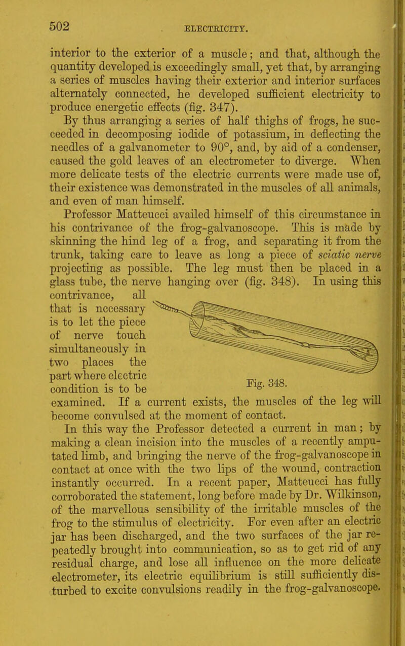 interior to the exterior of a muscle; and that, although the quantity developed is exceedingly small, yet that, by arranging a series of muscles having their exterior and interior surfaces alternately connected, he developed sufficient electricity to produce energetic effects (fig. 347). By thus arranging a series of half thighs of frogs, he suc- ceeded in decomposing iodide of potassium, in deflecting the needles of a galvanometer to 90°, and, by aid of a condenser, caused the gold leaves of an electrometer to diverge. When more delicate tests of the electric currents were made use of, their existence was demonstrated in the muscles of all animals, and oven of man himself. Professor Matteucci availed himself of this circumstance in his contrivance of the frog-galvanoscope. This is made by skinning the hind leg of a frog, and separating it from the trunk, taldng care to leave as long a piece of sciatic nerve projecting as possible. The leg must then be placed in a glass tube, the nerve hanging over (fig. 348). In using this contrivance, aU that is necessary is to let the piece of nerve touch simultaneously in two places the part where electric condition is to be examined. If a current exists, the muscles of the leg will become convulsed at the moment of contact. In this way the Professor detected a current in man; by making a clean incision into the muscles of a recently ampu- tated limb, and bringing the nerve of the frog-galvanoscope in contact at once with the two lips of the wound, contraction instantly occurred. In a recent paper, Matteucci has fiiUy corroborated the statement, long before made by Dr. Wilkinson, of the marvellous sensibility of the irritable muscles of the frog to the stimulus of electricity. For even after an electric jar has been discharged, and the two surfaces of the jar re- peatedly brought into communication, so as to get rid of^ any residual charge, and lose all influence on the more delicate electrometer, its electric equilibrium is still sufficiently dis- turbed to excite convulsions readily in the frog-galvanoscope.