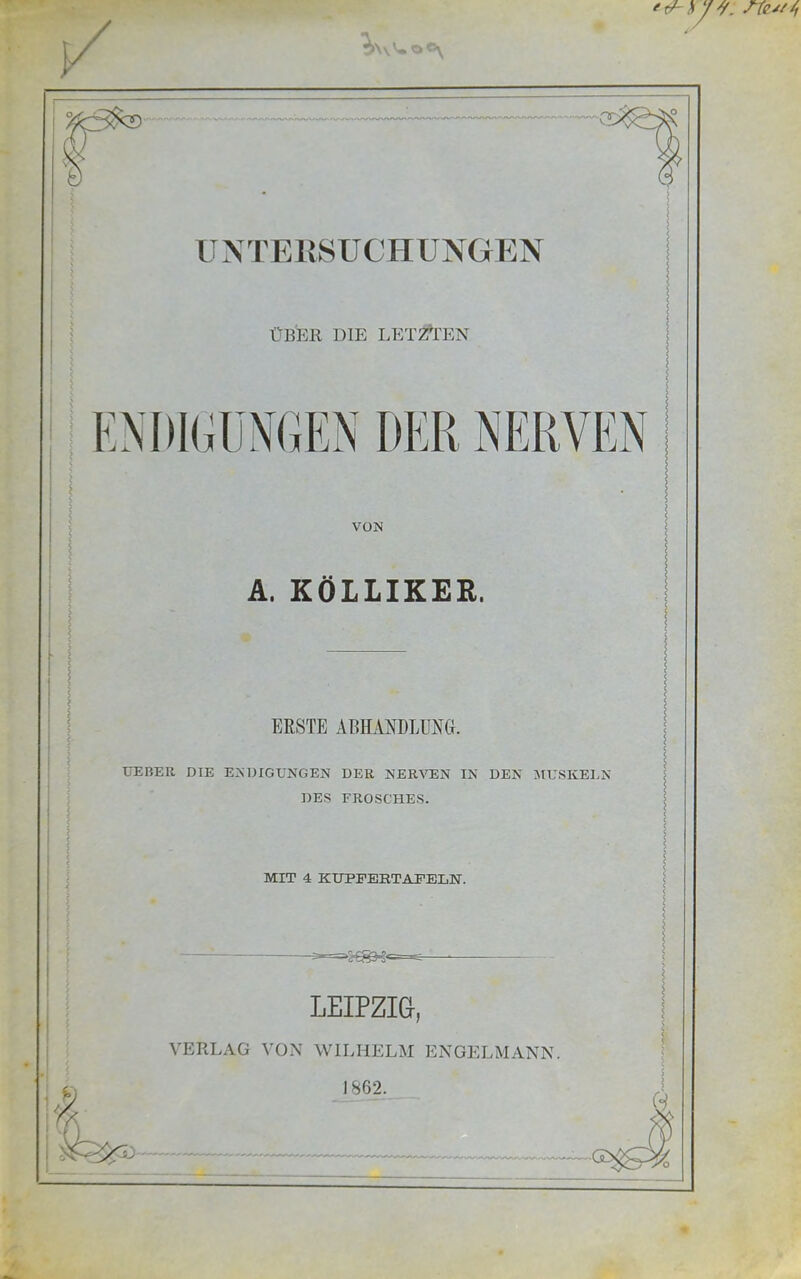 fies//, \\\ Uoe UNTERSUCHUNGEN ÜBER DIE LETZTEN ENDIGUNGEN DER NERVEN VON A, KÖLLIKER. ERSTE ABHANDLUNG. HEBER DTE ENDIGUNGEN DER NERVEN IN DEN MUSKELN DES FROSCHES. ; MIT 4 KUPFEBTAITELN. =«§3*= LEIPZIG, VERLAG VON WILHELM ENGELMANN. 1862. <? 2J !