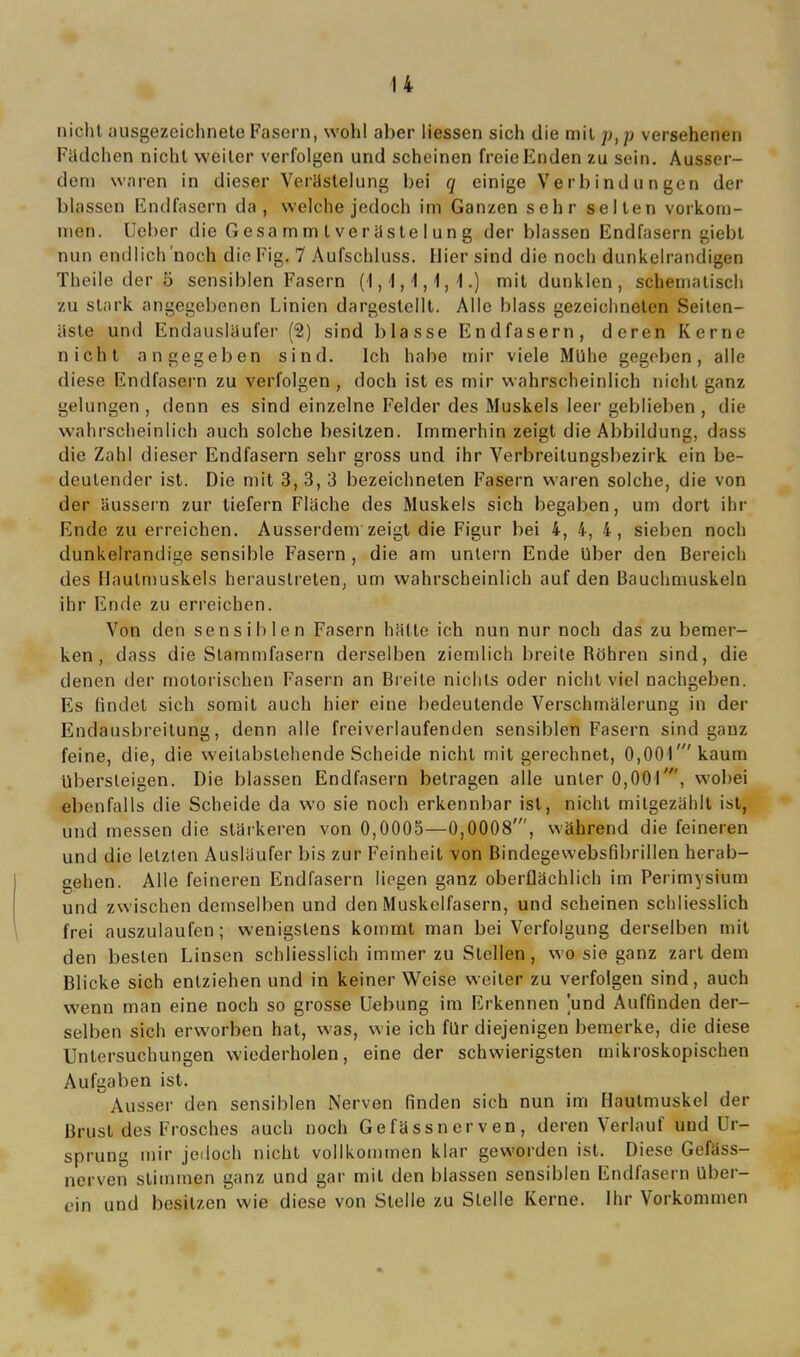 nicht ausgezeichnete Fasern, wohl aber Messen sich die mit p, p versehenen Fädchen nicht weiter verfolgen und scheinen freie Enden zu sein. Ausser- dem waren in dieser Verästelung bei q einige Verbindungen der blassen Endfasern da, welche jedoch im Ganzen sehr seilen Vorkom- men. Ucber die Gesammlverästelung der blassen Endfasern giebl nun endlich'noch die Fig. 7 Aufschluss. Hier sind die noch dunkelrandigen Theile der o sensiblen Fasern (1, \, \, 1, 1.) mit dunklen, schematisch zu stark angegebenen Linien dargestellt. Alle blass gezeichneten Seiten- äste und Endausläufer (2) sind blasse Endfasern, deren Kerne nicht angegeben sind. Ich habe mir viele Mühe gegeben, alle diese Endfasern zu verfolgen, doch ist es mir wahrscheinlich nicht ganz gelungen , denn es sind einzelne Felder des Muskels leer geblieben , die wahrscheinlich auch solche besitzen. Immerhin zeigt die Abbildung, dass die Zahl dieser Endfasern sehr gross und ihr Verbreitungsbezirk ein be- deutender ist. Die mit 3, 3, 3 bezeichneten Fasern waren solche, die von der äussern zur liefern Fläche des Muskels sich begaben, um dort ihr Ende zu erreichen. Ausserdem zeigt die Figur bei 4, 4, 4, sieben noch dunkelrandige sensible Fasern, die am untern Ende Uber den Bereich des Haulmuskels heraustreten, um wahrscheinlich auf den Bauchmuskeln ihr Ende zu erreichen. Von den sensiblen Fasern hätte ich nun nur noch das zu bemer- ken, dass die Stammfasern derselben ziemlich breite Röhren sind, die denen der motorischen Fasern an Breite nichts oder nicht viel nachgeben. Es findet sich somit auch hier eine bedeutende Verschmälerung in der Endausbreitung, denn alle freiverlaufenden sensiblen Fasern sind ganz feine, die, die weilabstehende Scheide nicht mit gerechnet, 0,001' kaum übersteigen. Die blassen Endfasern betragen alle unter 0,001', wobei ebenfalls die Scheide da wo sie noch erkennbar ist, nicht milgezählt ist, und messen die stärkeren von 0,0005—0,0008', während die feineren und die letzten Ausläufer bis zur Feinheit von Bindegewebsfibrillen herab- gehen. Alle feineren Endfasern liegen ganz oberflächlich im Perimysium und zwischen demselben und den Muskelfasern, und scheinen schliesslich frei auszulaufen; wenigstens kommt man bei Verfolgung derselben mit den besten Linsen schliesslich immer zu Stellen, wo sie ganz zart dem Blicke sich entziehen und in keiner Weise weiter zu verfolgen sind, auch wenn man eine noch so grosse Uebung im Erkennen und Auffinden der- selben sich erworben hat, was, wie ich für diejenigen bemerke, die diese Untersuchungen wiederholen, eine der schwierigsten mikroskopischen Aufgaben ist. Ausser den sensiblen Nerven finden sich nun im Hautmuskel der Brust des Frosches auch noch Gefäss aer v en , deren Verlauf und Ur- sprung mir jedoch nicht vollkommen klar geworden ist. Diese Gefäss- nerven stimmen ganz und gar mit den blassen sensiblen Endfasern über- ein und besitzen wie diese von Stelle zu Stelle Kerne. Ihr Vorkommen