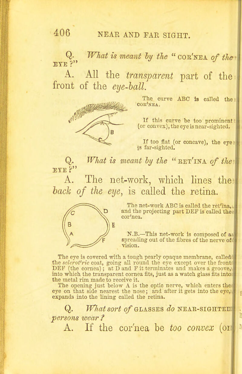 A. All the transparent part of the front of the eye-ball The curve ABC la called the cor'nea. i''^ this curve be too prominent (or convex), the eye is near-sighted B If too flat (or concave), the eye is far-sighted. Q. What is meant ly the  eet'ina of the EYE r' A. The net-work, which lines the back of the eye, is called the retina. The eye is covered -with a tough pearly opaque membrane, called the sclcrot'ric coat, going all round the eye except over the front DEF (the cornea); at D and F it terminates and makes a groove into which the transparent cornea fits, just as a watch glass tits into the metal rim made to receive it. The opening just below A is the optic nerve, which enters the eye on that side nearest the nose; and after it gets into the eye, expands into the lining called the retina. Q. iVliatsOrt of GLASSES do NEAE-SIGHTEB persons wear ? A. If the cor'nea be too convex (oi The net-work ABC is called the ret'ina, and the projecting part DEF is called the* cor'nea. E N.B.—This net-work is composed of spreading out of the fibres of the nerve ot vision.