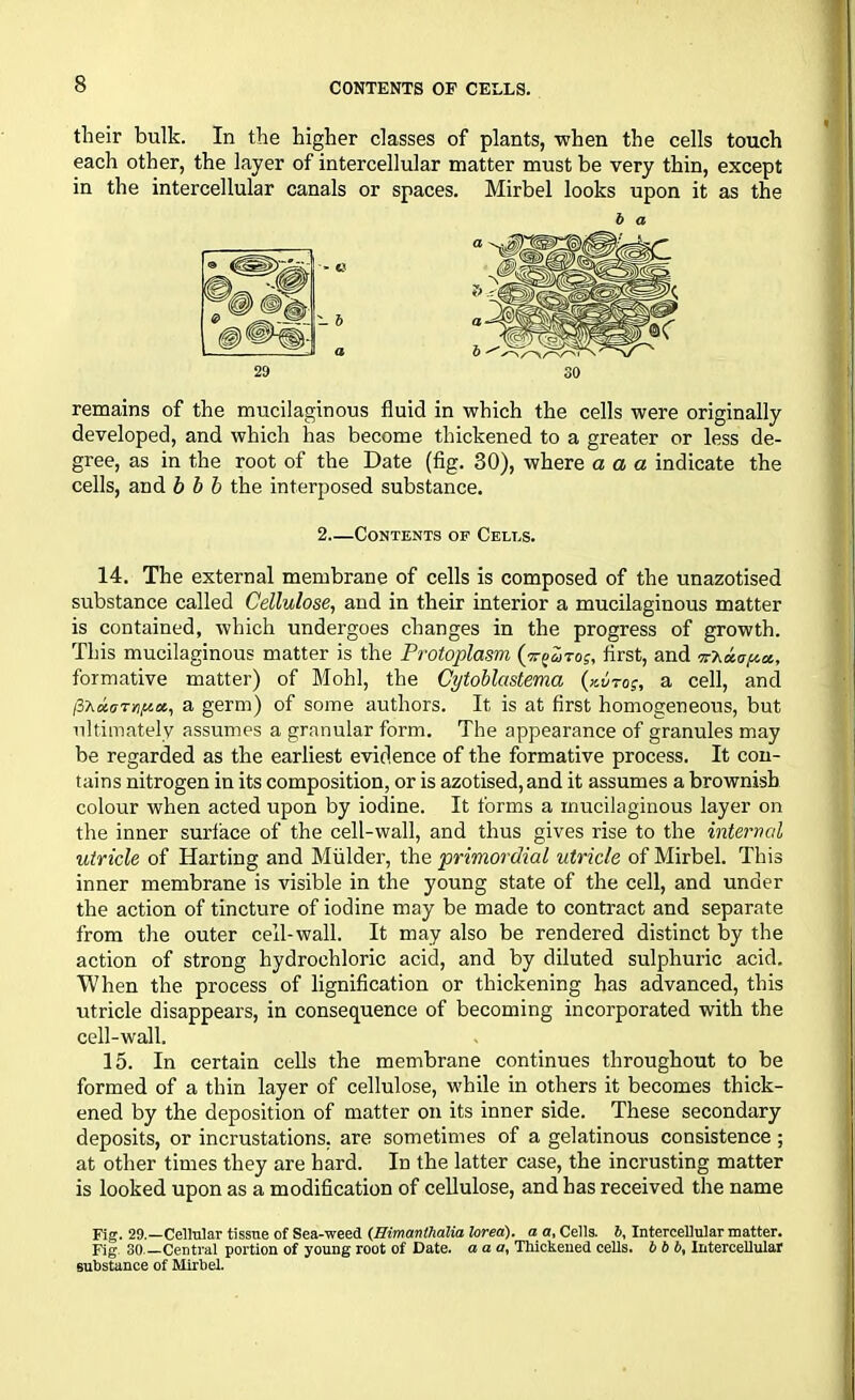 their bulk. In the higher classes of plants, when the cells touch each other, the layer of intercellular matter must be very thin, except in the intercellular canals or spaces. Mirbel looks upon it as the 6 a remains of the mucilaginous fluid in which the cells were originally developed, and which has become thickened to a greater or less de- gree, as in the root of the Date (fig. 30), where a a a indicate the cells, and b b b the interposed substance. 2 Contents of Cells. 14. The external membrane of cells is composed of the unazotised substance called Cellulose, and in their interior a mucilaginous matter is contained, which undergoes changes in the progress of growth. This mucilaginous matter is the Protoplasm (tt^Ztos, first, and formative matter) of Mold, the Cytoblastema (avro;, a cell, and a germ) of some authors. It is at first homogeneous, but ultimately assumes a granular form. The appearance of granules may be regarded as the earliest evidence of the formative process. It con- tains nitrogen in its composition, or is azotised,and it assumes a brownish colour when acted upon by iodine. It forms a mucilaginous layer on the inner surface of the cell-wall, and thus gives rise to the internal utricle of Harting and Mulder, the primordial utricle of Mirbel. This inner membrane is visible in the young state of the cell, and under the action of tincture of iodine may be made to contract and separate from the outer cell-wall. It may also be rendered distinct by the action of strong hydrochloric acid, and by diluted sulphuric acid. When the process of lignification or thickening has advanced, this utricle disappears, in consequence of becoming incorporated with the cell-wall. 15. In certain cells the membrane continues throughout to be formed of a thin layer of cellulose, while in others it becomes thick- ened by the deposition of matter on its inner side. These secondary deposits, or incrustations, are sometimes of a gelatinous consistence ; at other times they are hard. In the latter case, the incrusting matter is looked upon as a modification of cellulose, and has received the name Fig. 29.—Cellular tissue of Sea-weed (Himanlhalia lorea). a a. Cells. 6, Intercellular matter. Fig 30—Central portion of young root of Date, a a a, Thickened cells. 6 6 6, Intercellular substance of Mirbel.