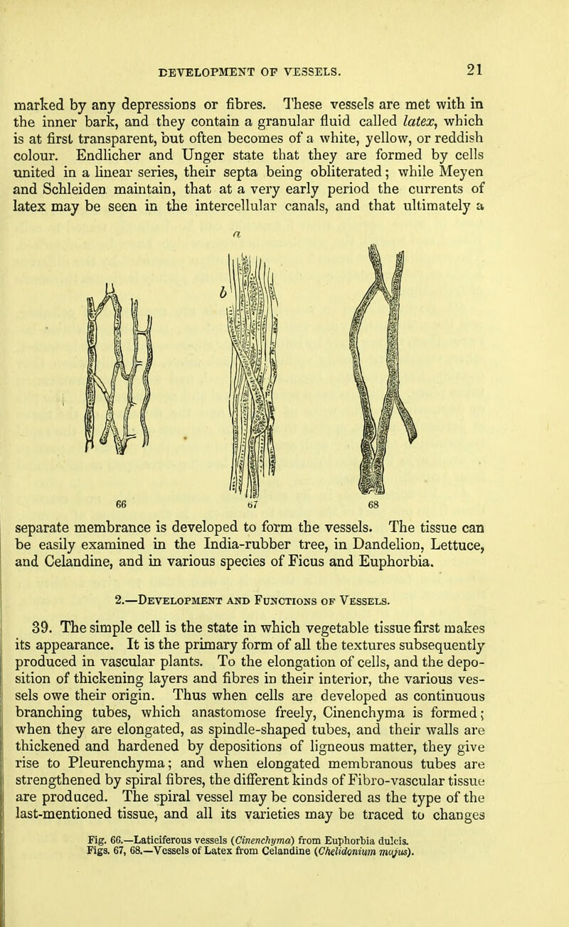 marked by any depressions or fibres. These vessels are met with in the inner bark, and they contain a granular fluid called latex, which is at first transparent, but often becomes of a white, yellow, or reddish colour. Endlicher and Unger state that they are formed by cells united in a linear series, their septa being obliterated; while Meyen and Schleiden maintain, that at a very early period the currents of latex may be seen in the intercellular canals, and that ultimately a a 66 t>7 68 separate membrance is developed to form the vessels. The tissue can be easily examined in the India-rubber tree, in Dandelion, Lettuce, and Celandine, and in various species of Ficus and Euphorbia. 2.—Development and Functions of Vessels. 39. The simple cell is the state in which vegetable tissue first makes its appearance. It is the primary form of all the textures subsequently produced in vascular plants. To the elongation of cells, and the depo- sition of thickening layers and fibres in their interior, the various ves- sels owe their origin. Thus when cells are developed as continuous branching tubes, which anastomose freely, Cinenchyma is formed; when they are elongated, as spindle-shaped tubes, and their walls are thickened and hardened by depositions of ligneous matter, they give rise to Pleurenchyma; and when elongated membranous tubes are strengthened by spiral fibres, the different kinds of Fibro-vascular tissue are produced. The spiral vessel may be considered as the type of the last-mentioned tissue, and all its varieties may be traced to changes Fig. 66.—Laticiferous vessels (Cinenchyma) from Euphorbia dulcis. Figs. 67, 68.—Vessels of Latex from Celandine (Chelidonium mujus).