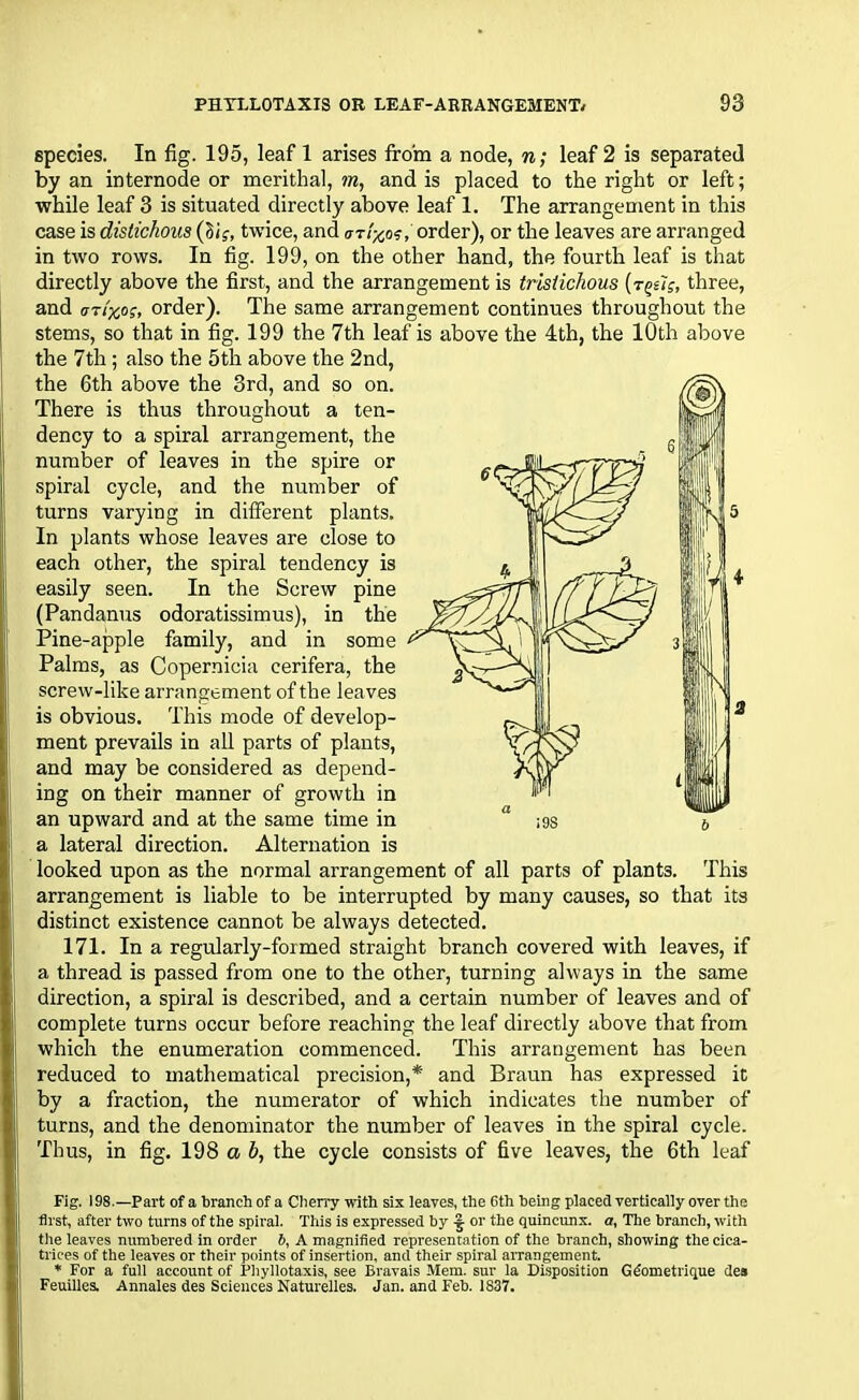 species. In fig. 195, leaf 1 arises from a node, n; leaf 2 is separated by an internode or merithal, m, and is placed to the right or left; while leaf 3 is situated directly above leaf 1. The arrangement in this case is distichous (Si?, twice, and o-t/jjo?, order), or the leaves are arranged in two rows. In fig. 199, on the other hand, the fourth leaf is that directly above the first, and the arrangement is trisiichous three, and aTi'xo;, order). The same arrangement continues throughout the stems, so that in fig. 199 the 7th leaf is above the 4th, the 10th above the 7th; also the 5th above the 2nd, the 6th above the 3rd, and so on. There is thus throughout a ten- dency to a spiral arrangement, the number of leaves in the spire or spiral cycle, and the number of turns varying in different plants. In plants whose leaves are close to each other, the spiral tendency is easily seen. In the Screw pine (Pandanus odoratissimus), in the Pine-apple family, and in some Palms, as Copernicia cerifera, the screw-like arrangement of the leaves is obvious. This mode of develop- ment prevails in all parts of plants, and may be considered as depend- ing on their manner of growth in an upward and at the same time in a lateral direction. Alternation is looked upon as the normal arrangement of all parts of plants. This arrangement is liable to be interrupted by many causes, so that its distinct existence cannot be always detected. 171. In a regularly-formed straight branch covered with leaves, if a thread is passed from one to the other, turning always in the same direction, a spiral is described, and a certain number of leaves and of complete turns occur before reaching the leaf directly above that from which the enumeration commenced. This arrangement has been reduced to mathematical precision,* and Braun has expressed it by a fraction, the numerator of which indicates the number of turns, and the denominator the number of leaves in the spiral cycle. Thus, in fig. 198 a b, the cycle consists of five leaves, the 6th leaf Fig. 198.—Part of a branch of a Cherry with six leaves, the 6th being placed vertically over the first, after two turns of the spiral. This is expressed by ^ or the quincunx, a. The branch, with the leaves numbered in order b, A magnified representation of the branch, showing the cica- trices of the leaves or their points of insertion, and their spiral arrangement. * For a full account of Phyllotaxis, see Bravais Mem. sur la Disposition Gdometrique des Feuilles. Annales des Sciences Naturelles. Jan. and Feb. 1837.