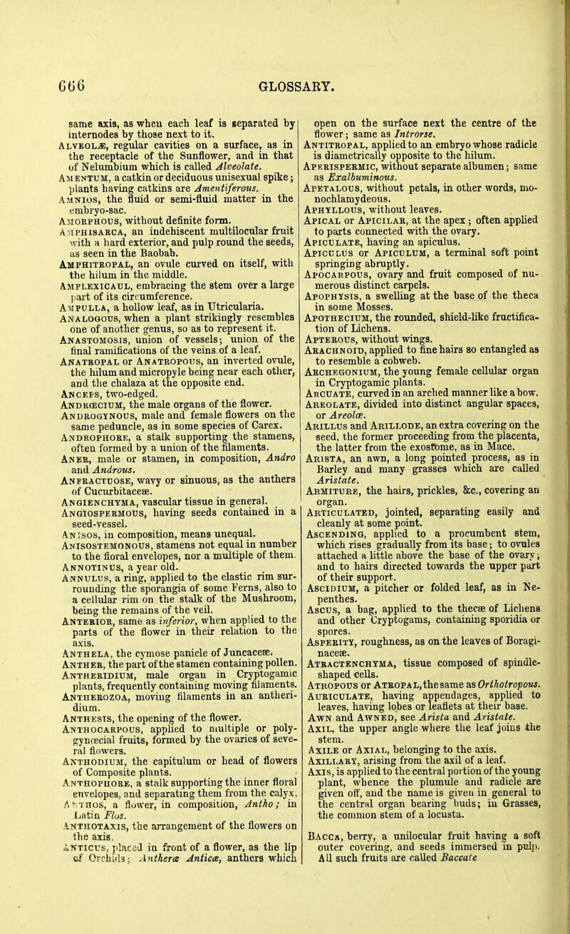 same axis, as when each leaf is separated by internodes by those next to it. Alveolae, regular cavities on a surface, as in the receptacle of the Sunflower, and in that of Nelumbium which is called Alveolate. Amentum, a catkin or deciduous unisexual spike; plants having catkins are Amentiferous. Amnios, the fluid or semi-fluid matter in the embryo-sac. Amorphous, without definite form. A I I’H isarca, an indehiscent multilocular fruit with a hard exterior, and pulp round the seeds, as seen in the Baobab. Amphitropal, an ovule curved on itself, with the hilum in the middle. Amplexicaul, embracing the stem over a large part of its circumference. Ampulla, a hollow leaf, as in Utricularia. Analogous, when a plant strikingly resembles one of another genus, so as to represent it. Anastomosis, union of vessels; union of the final ramifications of the veins of a leaf. Anatropal or Anatropous, an inverted ovule, the lulum and micropyle being near each other, and the chalaza at the opposite end. An ceps, two-edged. Andrcecium, the male organs of the flower. Androgynous, male and female flowers on the same peduncle, as in some species of Carex. Androphore, a stalk supporting the stamens, often formed by a union of the filaments. Aneu, male or stamen, in composition, And.ro and Androus. Anfractdose, wavy or sinuous, as the anthers of Cucurbitacese. Angienchyma, vascular tissue in general. Angiospermous, having seeds contained in a seed-vessel. An isos, in composition, means unequal. Anisostemonous, stamens not equal in number to the floral envelopes, nor a multiple of them. Annotinus, a year old. Annulus, a ring, applied to the elastic rim sur- rounding the sporangia of some kerns, also to a cellular rim on the stalk of the Mushroom, being the remains of the veil. Anterior, same as inferior, when applied to the parts of the flower in their relation to the axis. Anthela, the cymose panicle of Juncacere. Anther, the part of the stamen containing pollen. Antheridium, male organ in Cryptogamic plants, frequently containing moving filaments. Antherozoa, moving filaments in an antheri- dium. Anthksis, the opening of the flower. Anthocarpous, applied to multiple or poly- gyncecial fruits, formed hy the ovaries of seve- ral flowers. Anthodium, the capitulum or head of flowers of Composite plants. Anthophore, a stalk supporting the inner floral envelopes, and separating them from the calyx. Althos, a flower, in composition, Antho; in Latin Flos. ANTnoTAXis, the arrangement of the flowers on the axis. Anticus, placed in front of a flower, as the lip of Orchids; Anthers Antics, anthers which open on the surface next the centre of the flower; same as Introrse. Antitropal, applied to an embryo whose radicle is diametrically opposite to the hilum. Apkrispermic, without separate albumen; same as Exalbuminous. Apetalous, without petals, in other words, mo- nochlamydeous. Aphyllous, without leaves. Apical or Apicilar, at the apex; often applied to parts connected with the ovary. Apiculate, having an apiculus. Apiculus or Aficulum, a terminal soft point springing abruptly. Apocarpous, ovary and fruit composed of nu- merous distinct carpels. Apophysis, a swelling at the base of the theca in some Mosses. Apothecium, the rounded, shield-like fructifica- tion of Lichens. Apterous, without wings. Arachnoid, applied to fine hairs bo entangled as to resemble a cobweb. Archegonium, the young female cellular organ in Cryptogamic plants. Arcuate, curved in an arched manner like a how. Areolate, divided into distinct angular spaces, or Areoloe. Arillus and Arillode, an extra covering on the seed, the former proceeding from the placenta, the latter from the exosfome, as in Mace. Arista, an awn, a long pointed process, as in Barley and many grasses which are called Aristate. Armiture, the hairs, prickles, &c., covering an organ. Articulated, jointed, separating easily and cleanly at some point. Ascending, applied to a procumbent stem, which rises gradually from its base; to ovules attached a little above the base of the ovary; and to hairs directed towards the upper part of their support . Ascidium, a pitcher or folded leaf, as in Ne- penthes. Ascus, a bag, applied to the thecse of Lichens and other Cryptogams, containing sporidia or spores. Asperity, roughness, as on the leaves of Boragi- nacese. Atractenchyma, tissue composed of spindle- shaped cells. Atropous or ATROPAL,the same as Orthotropous. Auriculate, having appendages, applied to leaves, having lobes or leaflets at their base. Awn and Awned, see Arista and Aristate. Axil, the upper angle where the leaf joins the stem. Axile or Axial, belonging to the axis. Axillary, arising from the axil of a leaf. Axis, is applied to the central portion of the young plant, whence the plumule and radicle are given off, and the name is given in general to the central organ hearing buds; iu Grasses, the common stem of a locusta. Bacca, berry, a unilocular fruit having a soft outer covering, and seeds immersed in pulp. A11 such fruits are called Saccate