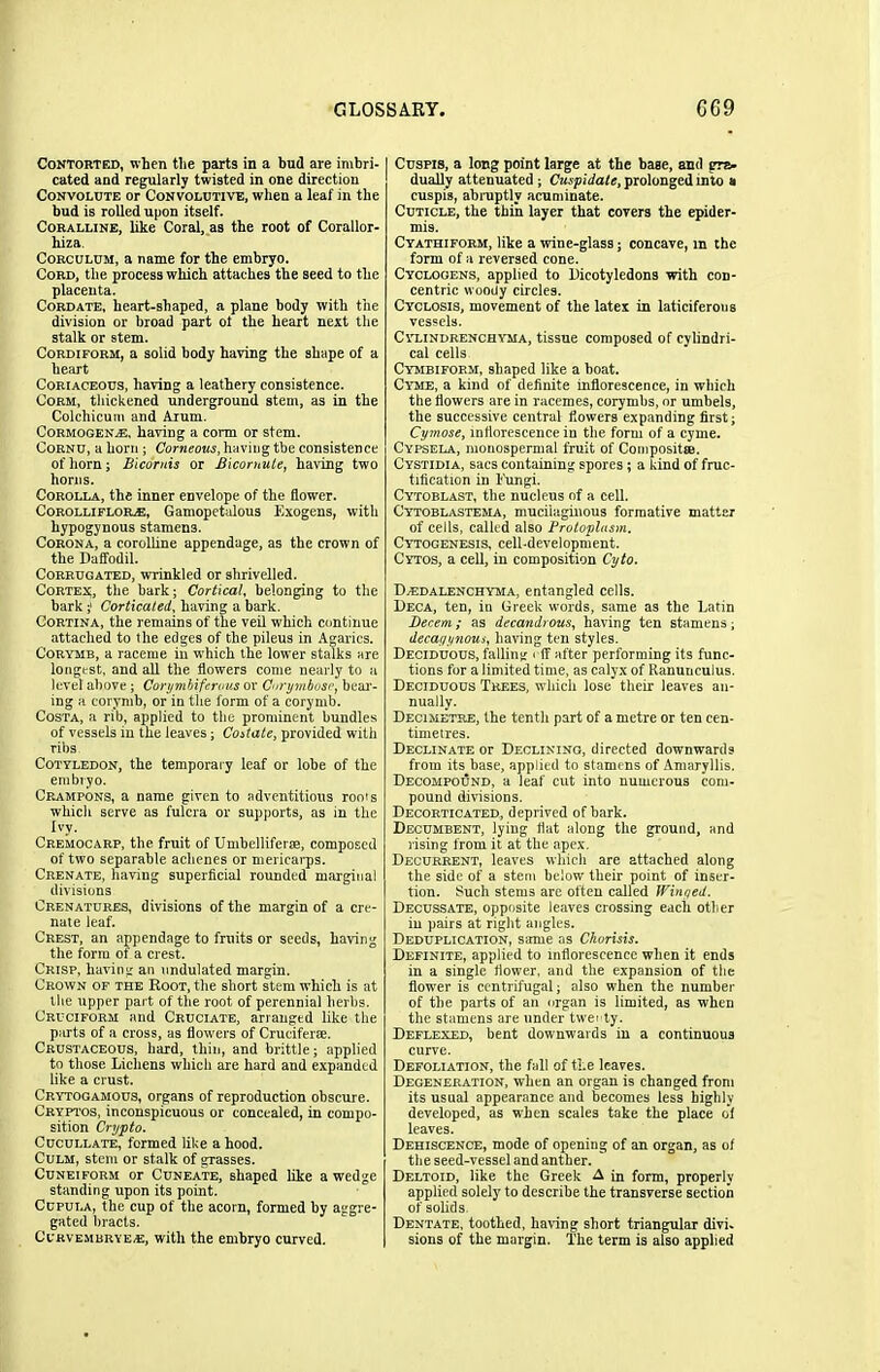 Contorted, when the parts in a bud are imbri- cated and regularly twisted in one direction Convolute or Convolutive, when a leaf in the bud is rolled upon itself. Coralline, like Coral, as the root of Corallor- hiza. Corculum, a name for the embryo. Cord, the process which attaches the seed to the placenta. Cordate, heart-shaped, a plane body with the division or broad part ot the heart next the stalk or stem. Cordiform, a solid body having the shape of a heart Coriaceous, having a leathery consistence. Corm, thickened underground stem, as in the Colchicurn and Arum. Cormogen^e, having a corm or stem. Cornu, a horn ; Corneous, having tbe consistence of horn; Bicornis or Bicomute., having two horns. Corolla, the inner envelope of the flower. Corollifloile, Gamopetalous Exogens, with hypogynous stamens. Corona, a corolline appendage, as the crown of the Daffodil. Corrugated, wrinkled or shrivelled. Cortex, the bark; Cortical, belonging to the bark;' Corticated, having a bark. Cortina, the remains of the veil which continue attached to the edges of the pileus in Agarics. Corymb, a raceme in wrhich the lower stalks are longest, and all the flowers come nearly to a level above ; Corymbiferous or Corymbose, bear- ing a corymb, or in the form of a corymb. Costa, a rib, applied to the prominent bundles of vessels in the leaves; Costate, provided with ribs Cotyledon, the temporary leaf or lobe of the embryo. Crampons, a name given to adventitious roots which serve as fulcra or supports, as in the Ivy. Cremocarp, the fruit of Umbellifer®, composed of two separable achenes or mericarps. Crenate, having superficial rounded marginal divisions Crenatures, divisions of the margin of a cre- nate leaf. Crest, an appendage to fruits or seeds, having the form of a crest. Crisp, having an undulated margin. Crown of the Root, the short stem which is at the upper part of the root of perennial herbs. Cruciform and Cruciate, arranged like the parts of a cross, as flowers of Crucifer®. Crustaceous, hard, thin, and brittle; applied to those Lichens which are hard and expanded like a crust. Crytogamous, organs of reproduction obscure. Cryptos, inconspicuous or concealed, in compo- sition Crypto. Cucullate, formed like a hood. Culm, stem or stalk of grasses. Cuneiform or Cuneate, shaped like a wedge standing upon its point. Cupula, the cup of the acorn, formed by aggre- gated bracts. Curvembrye<£, with the embryo curved. Cuspis, a long point large at the base, and gra- dually attenuated ; Cuspidate, prolonged into a cuspis, abruptly acuminate. Cuticle, the thin layer that covers the epider- mis. Cyathiform, like a wine-glass; concave, m the form of a reversed cone. Cyclogens, applied to Dicotyledons with con- centric wootly circles. Cyclosis, movement of the latex in laticiferous vessels. Cylindrenchyma, tissue composed of cylindri- cal cells Cymbiform, shaped like a boat. Cyme, a kind of definite inflorescence, in which the flowers are in racemes, corymbs, or umbels, the successive central flowers expanding first; Cymose, inflorescence in the form of a cyme. Cypsela, monospermal fruit of Composit®. Cystidia, sacs containing spores ; a kind of fruc- tification in Fungi. Cytoblast, the nucleus of a cell. Cytoblastema, mucilaginous formative matter of cells, called also Protoplasm. Cytogenesis, cell-development. Cytos, a cell, in composition Cyto. D/EDalenchyma, entangled cells. Deca, ten, in Greek words, same as the Latin Decern; as decandrous, having ten stamens; decagynous, having ten styles. Deciduous, falling * ff after performing its func- tions for a limited time, as calyx of Ranunculus. Deciduous Trees, which lose their leaves an- nually. Decimetre, the tenth part of a metre or ten cen- timetres. Declinate or Declining, directed downwards from its base, applied to stamens of Amaryllis. Decompound, a leaf cut into numerous com- pound divisions. Decorticated, deprived of bark. Decumbent, lying flat along the ground, and rising from it at the apex. Decurrent, leaves which are attached along the side of a stem below their point of inser- tion. Such stems are often called Winged. Decussate, opposite leaves crossing each other in pairs at right angles. Deduplication, same as Chorisis. Definite, applied to inflorescence when it ends in a single flower, and the expansion of the flower is centrifugal; also when the number of the parts of an organ is limited, as when the stamens are under twenty. Deflexed, bent downwards in a continuous curve. Defoliation, the fall of the leaves. Degeneration, when an organ is changed from its usual appearance and becomes less highly developed, as when scales take the place of leaves. Dehiscence, mode of opening of an organ, as of the seed-vessel and anther. Deltoid, like the Greek A in form, properly applied solely to describe the transverse section of solids. Dentate, toothed, having short triangular divi- sions of the margin. The term is also applied
