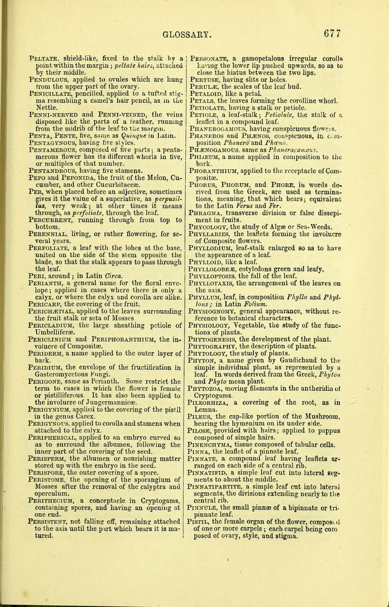Peltate, shield-like, fixed to the stalk hy a point within the margin; peltate hairs, attacked by their middle. Pendulous, applied to ovules which are hung from the upper part of the ovary. Penicillate, pencilled, applied to a tufted stig- ma resembling a camel’s hair pencil, as in the Nettle. Penni-nerved and Penni-veined, the veins disposed like the parts of a feather, running from the midrib of the leaf to the margin. Penta, Pente, five, same as Quinqnc iu Latin. Pentagynous, having live styles. Pentamerous, composed of five parts; a penta- merous flower has its different whorls in five, or multiples of that number. Pentandrous, having five stamens. Pepo and Peponida, the fruit of the Melon, Cu- cumber, and other Cucurbitacem. Per, when placed before an adjective, sometimes gives it the value of a superlative, as perpusil- lus, very weak; at other times it means through, as perfoliate, through the leaf. Percurrent, running through from top to bottom. Perennial, living, or rather flowering, for se- veral years. Perfoliate, a leaf with the lobes at the base, united on the side of the stem opposite the blade, so that the stalk appears to pass through the leaf. Peri, around; in Latin Circa. Perianth, a general name for the floral enve- lope ; applied in cases where there is only a calyx, or where the calyx and corolla are alike. Pericarp, the covering of the fruit. Perich^etial, applied to the leaves surrounding the fruit stalk or seta of Mosses Pericladium, the large sheathing petiole of Umbelliferse. Periclinium and Periphoranthium, the in- volucre of Composite. Periderm, a name applied to the outer layer of bark. Peridium, the envelope of the fructification in Gasteromycetous Fungi. Perigone, same as Perianth. Some restrict the term to cases in which the flower is female or pistilliferous. It has also been applied to the involucre of Jungermanniem. Perigynium, applied to the covering of the pislil in the genus Carex. Perigynods, applied to corolla and stamens when attached to the calyx. Peripherical, applied to an embryo curved so as to surround the albumen, following the inner part of the covering of the seed. Peri sperm, the albumen or nourishing matter stored up with the embryo in the seed. Perispore, the outer covering of a spore. Peristome, the opening of the sporangium of Mosses after the removal of the calyptra and operculum. Perithecium, a conceptacle in Cryptogams, containing spores, and having an opening at one end. Persistent, not falling off, remaining attached to the axis until the part which bears it is ma- tured. Personate, a gamopetalous irregular corolla having the lower lip pushed upwards, so as to close the hiatus between the two bps. Pertuse, having shts or holes. Perul.e, the scales of the leaf bud. Petaloid, like a petal. Petals, the leaves forming the coralline whorl. Petiolate, having a stalk or petiole. Petiole, a leaf-stalk; Petiolule, the stalk of a leaflet in a compound leaf. Phanerogamous, having conspicuous Sowers. Phaneros and Phenos, conspicuous, in com- position Phanero and Pharno. Pu.enogamous. same as Pkanerogamous. Phlceum, a name applied in composition to the bark. Phoranthium, applied to the receptacle of Com- posite. Phorus, Phorum, and Phore, iu words de- rived from the Greek, are used as termina- tions, meaning, that which bears; equivalent to the Latin Ferus and Per. Phragma, transverse division or false dissepi- ment in fruits. Phycology, the study of Algae or Sea-Weeds. Phyllaries, the leaflets forming the involucre of Composite flowers. Phyllodium, leaf-stalk enlarged so as to have the appearance of a leaf. Phylloid, like a leaf. Phyllolobe/E, cotyledons green and leafy. Phylloptosis, the fall of the leaf. Phyllotaxis, the arrangement of the leaves on the axis. Phyllum, leaf, in composition Phyllo and Phyl- lous; in Latin Folium.. Physiognomy, general appearance, without re- ference to botanical characters. Physiology, Vegetable, the study of the func- tions of plants. Phytogenesis, the development of the plant. Phytography, the description of plants. Phytology, the study of plants. Phyton, a name given by Gaudichaud to the simple individual plant, as represented hy a leaf. In words derived from the Greek, Phyton and Phyto mean plant. Phytozoa, moving filaments in the antheridia of Cryptogams. Pileorhiza, a covering of the root, as in Lemna. Pileus, the cap-like portion of the Mushroom, bearing the hymenium on its under side. Pilose, provided with hairs; applied to pappus composed of simple hairs. Pinenchyma, tissue composed of tabular cells. Pinna, the leaflet of a pinnate leaf. Pinnate, a compound leaf having leaflets ar- ranged on each side of a central nb. Pinnatifid, a simple leaf cut into lateral seg- ments to about the middle. Pinnatipartite, a simple leaf cut into lateral segments, the divisions extending nearly to the central rib. Pinnule, the small pinnae of a bipinnate or tri- pinnate leaf. Pistil, the female organ of the flower, composed of one or more carpels; each carpel being coin posed of ovary, style, and stigma.