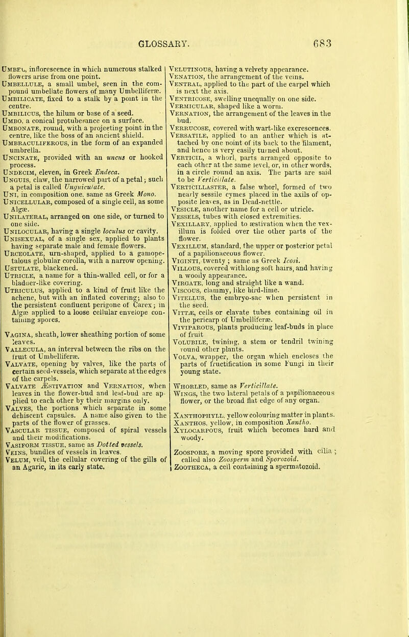 Umbel,, inflorescence in which numerous stalked liowers arise from one point. Umbellule, a small umbel, seen in the com- pound umbellate flowers of many Umbelliferae. Umbilicate, fixed to a stalk by a point in the centre. Umbilicus, the hilum or base of a seed. Umbo, a conical protuberance on a surface. Umbonate, round, with a projeeting point in the centre, like the boss of an ancient shield. Umbraculiferous, in the form of an expanded umbrella. Uncinate, provided with an uncus or hooked process. Undecim, eleven, in Greek Endeca. Unguis, claw, the narrowed part of a petal; such a petal is called Unguiculate. Uni, in composition one. same as Greek Mono. Unicellular, composed of a single cell, as some AlgEE. Unilateral, arranged on one side, or turned to one side. Unilocular, having a single loculus or cavity. Unisexual, of a single sex, applied to plants having separate male and female flowers. Urceolate, urn-shaped, applied to a gamope- talous globular corolla, with a narrow opening. Ustulate, blackened. Utricle, a name for a thin-walled cell, or for a bladuer-like covering. Utriculus, applied to a kind of fruit like the achene, but with an inflated covering; also to the persistent confluent perigone of Carex; in Algae applied to a loose cellular envelope con- taining spores. Vagina, sheath, lower sheathing portion of some leaves. Vallecula, an interval between the ribs on the fruit of Umbelliferae. Valvate, opening by valves, like the parts of certain seed-vessels, which separate at the edges of the carpels. Valvate ^Estivation and Vernation, when leaves in the flower-bud and leaf-bud are ap- plied to each other by their margins only. Valves, the portions which separate in some dehiscent capsules. A name also given to the parts of the flower of grasses. Vascular tissue, composed of spiral vessels and their modifications. Vasiform tissue, same as Dotted vessels. Veins, bundles of vessels in leaves. Velum, veil, the cellular covering of the gills of an Agaric, in its early state. Velutinous, having a velvety appearance. Venation, the arrangement of the veins. Ventral, applied to the part of the carpel which is next the axis. Ventricose, swelling unequally on one side. Vermicular, shaped like a worm. Vernation, the arrangement of the leaves in the bud. Verrucose, covered with wart-like excrescences. Versatile, applied to an anther which is at- tached by one noint of its back to the filament, and hence is very easily turned about. Verticil, a whorl, parts arranged opposite to each other at the same level, or, in other words, in a circle round an axis. The parts are said to be Verticillate. Verticillaster, a false whorl, formed of two nearly sessile cymes placed in the axils of op- posite leaves, as in Dead-nettle. Vesicle, another name for a cell or utricle. Vessels, tubes with closed extremities. Vexillary, applied to aestivation when the vex- illum is folded over the other parts of the flower. Vexillum, standard, the upper or posterior petal of a papilionaceous flower. Viginti, twenty ; same as Greek Icosi. Villous, covered withlong soft hairs, and having a wooily appearance. Virgate, long and straight like a wand. Viscous, clammy, like bird-lime. Vitellus, the embryo-sac when persistent in the seed. Vitt^e, cells or clavate tubes containing oil in the pericarp of Umbelliferae. Viviparous, plants producing leaf-buds in place of fruit Volubile, twining, a stem or tendril twining round other plants. Volva, wrapper, the organ which encloses the parts of fructification in some i'ungi in their young state. Whorled, same as Verticillate. Wings, the two lateral petals of a papilionaceous flower, or the broad flat edge of any organ. Xanthophyll, yellow colouring matter in plants. Xanthos, yellow, in composition Xantho. Xylocarpous, fruit which becomes hard and woody. Zoospore, a moving spore provided with cilia ; called also Zoosperm and Sporozoid. Zootheca, a ceil containing a spermatozoid.