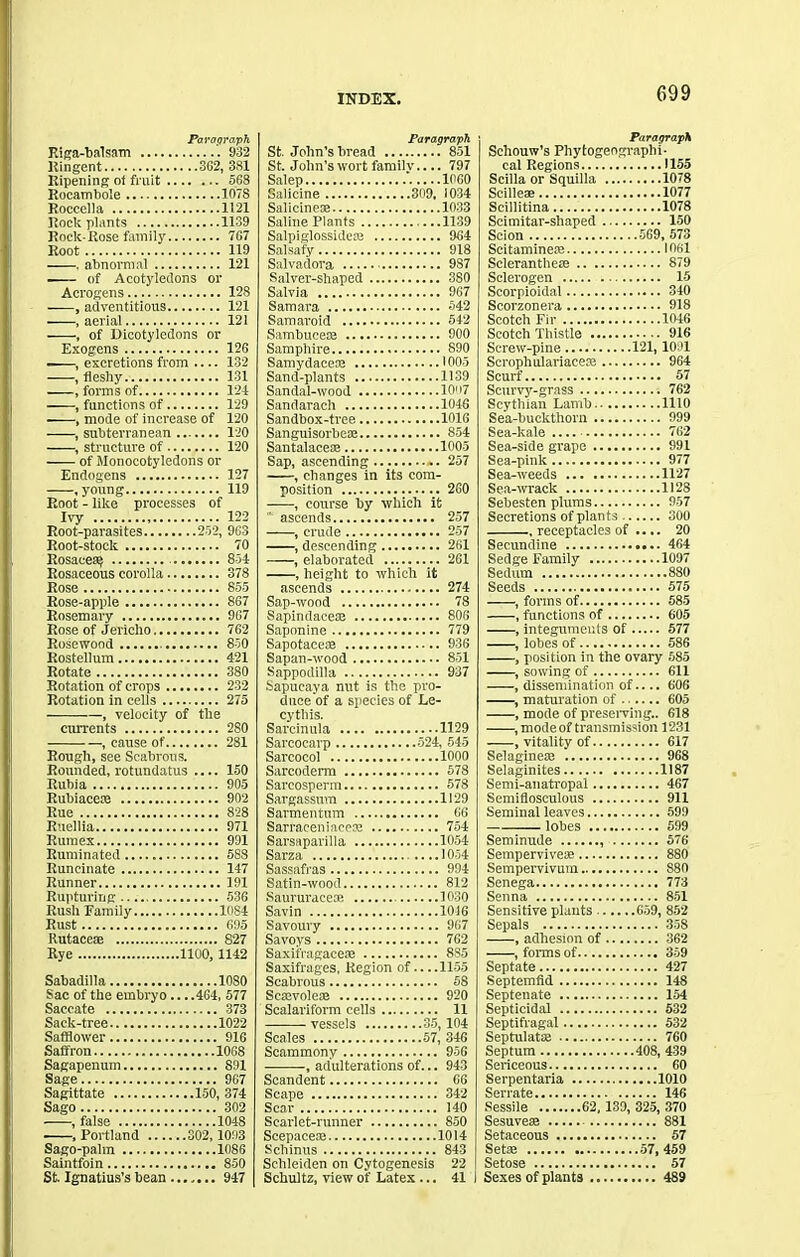 Paragraph Riga-balsam 932 Ringent 362, 3S1 Ripening ot fruit 568 Rocambole 107S Roccella 1121 Rock plants 1139 Rock-Rose family 767 Root 119 . abnormal 121 of Acotyledons or Acrogens 128 , adventitious 121 .aerial 121 , of Dicotyledons or Exogens 126 -—, excretions from — 132 , fleshy 131 , forms of 124 , functions of 129 , mode of increase of 120 , subterranean 120 , structure of 120 of Monocotyledons or Endogens 127 .young 119 Root - like processes of Ivy 122 Root-parasites 252, 963 Root-stock 70 Rosacea^ 854 Rosaceous corolla 378 Rose 855 Rose-apple 867 Rosemary 967 Rose of Jericho 762 Rosewood 850 Rostellum 421 Rotate 380 Rotation of crops 232 Rotation in cells 275 , velocity of the currents 280 , cause of 281 Rough, see Scabrous. Rounded, rotundatus 150 Rubia 905 Rubiaceoe 902 Rue 828 Ruellia 971 Rumex 991 Ruminated 588 Runcinate 147 Runner 191 Rupturing 536 Rush Family 1084 Rust 695 Rutaceae 827 Rye 1100,1142 Sabadiila 1080 Sac of the embryo... .464, 577 Saccate 373 Sack-tree 1022 Safflower 916 Saffron 1068 Sagapenum 891 Sage 967 Sagittate 150, 374 Sago 302 , false 1048 ■ , Portland 302,1093 Sago-palm 1086 Saintfoin ... 850 St. Ignatius’s bean ....... 947 Paragraph St. John’s bread 851 St. John’s wort family 797 Salep 1060 Salicine 309, 1034 Salicinece 1033 Saline Plants 1139 Salpiglossidete 964 Salsafy 918 Salvadora 9S7 Salver-shaped 380 Salvia 967 Samara 542 Samaroid 542 Sambucete 900 Samphire 890 Samydacete 1005 Sand-plants 1139 Sandal-wood 10''7 Sandarach 1046 Sandbox-tree 1016 Sanguisorbete 854 Santalaceae 1005 Sap, ascending .. 257 , changes in its com- position 260 , course by which it ascends 257 , crude 257 , descending 261 , elaborated 261 , height to which it ascends 274 Sap-wood 78 Sapindaee® 806 Saponine 779 Sapotaceae 936 Sapan-wood 851 Sappodilla 937 Sapucaya nut is the pro- duce of a species of Le- cythis. Sarcinuia 1129 Sarcoearp 524, 545 Sarcocol 1000 Sarcoderm 578 Sarcosperm 578 Sargassum 1129 Sarmentum 66 SarraceniaceK 754 Sarsaparilla 1054 Sarza 1054 Sassafras 994 Satin-wood 812 Saururacem 1030 Savin 1016 Savoury 967 Savoys 762 Saxifragaceae 8S5 Saxifrages, Region of 1155 Scabrous 58 Scaevole® 920 Scalariform cells 11 vessels 35,104 Scales 57, 346 Scammony 956 adulterations of... 943 Scandent 66 Scape 342 Scar 140 Scarlet-runner 850 Scepace® 1014 Sehinus 843 Schleiden on Cytogenesis 22 Schultz, view of Latex ... 41 Paragraph Schouw’s Phytogeographi- cal Regions 1155 Scilla or Squilla 1078 Sciliese 1077 Scillitina 1078 Scimitar-shaped 150 Scion 569, 573 Scitamine® 1061 Seleranthe® 879 Sclerogen 15 Scorpioidal 340 Scorzonera 918 Scotch Fir 1046 Scotch Thistle 916 Screw-pine 121,1091 Scrophulariaeeie 964 Scurf 57 Scurvy-grass 762 Scythian Lamb 1110 Sea-buckthorn 999 Sea-kale 762 Sea-side grape 991 Sea-pink 977 Sea-weeds 1127 Sea-wrack 1128 Sebesten plums 957 Secretions of plants 300 . receptacles of .... 20 Secundine 464 Sedge Family 1097 Sedum 880 Seeds 575 , forms of 585 , functions of 605 , integuments of 577 , lobes of 586 , position in the ovary 585 , sowing of 611 , dissemination of 606 , maturation of 605 , mode of preserving.. 618 , modeof transmission 1231 , vitality of 617 Selagine® 968 Selaginites 1187 Semi-anatropal 467 Semiflosculous 911 Seminal leaves 599 lobes 699 Seminude , 576 Sempervive® 880 Sempervivum 880 Senega 773 Senna 851 Sensitive plants 659, 852 Sepals 358 , adhesion of 362 , forms of 359 Septate 427 Septemfid 148 Septenate 154 Septicidal 532 Septifragal 532 Septulat® 760 Septum 408, 439 Sericeous 60 Serpentaria 1010 Serrate 146 Sessile 62, 130, 325, 370 Sesuve® 881 Setaceous 57 Setas 57, 459 Setose 57 Sexes of plants 489