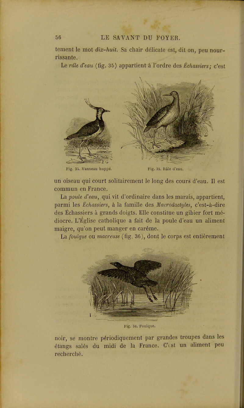 tement le mot dix-huit. Sa chair délicate est, dit on, peu nour- rissante. Le râle d'eau (fig. 35) appartient à l'ordre des Èchassiers; c'est Fig. 3i. Vanneau huppé. Fig. 35. Ràle d'eau. un oiseau qui court solitairement le long des cours d'eau. Il est commun en France. La poule d'eau, qui vit d'ordinaire dans les marais, appartient, parmi les Èchassiers, à la famille des Macrodactyles, c'est-à-dire des Èchassiers à grands doigts. Elle constitue un gibier fort mé- diocre. L'Église catholique a fait de la poule d'eau un aliment maigre, qu'on peut manger en carême. La foulque ou macreuse (fig. 36), dont le corps est entièrement Fig. 36. Foulque. noir, se montre périodiquement par grandes troupes dans les étangs salés du midi de la France. C'est un aliment peu recherché.