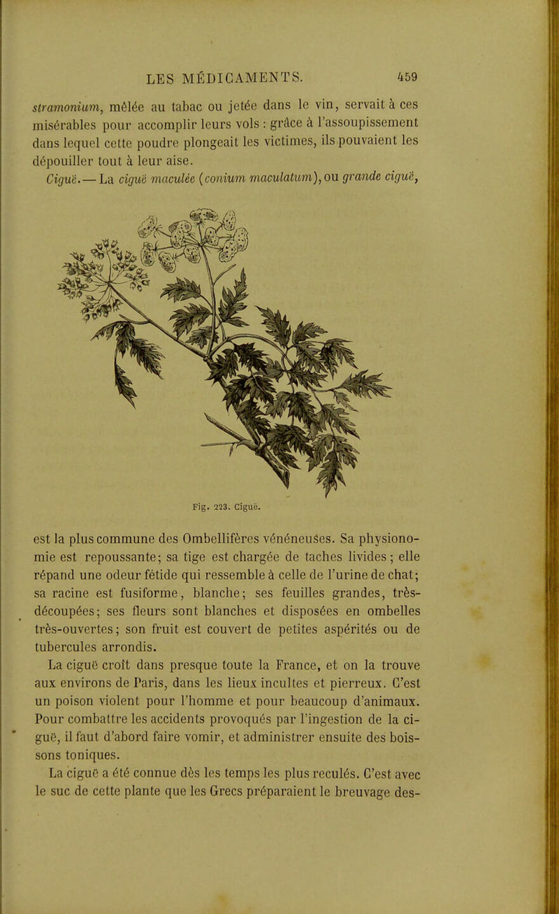 stramonium, mêlée au tabac ou jetée dans le vin, servait à ces misérables pour accomplir leurs vols : grâce à l'assoupissement dans lequel cette poudre plongeait les victimes, ils pouvaient les dépouiller tout à leur aise. Ciguë.—LsL ciguii maculée (conium maculatum), ou grande ciguë, Fig. 223. Ciguë. est la plus commune des Ombellifères vénéneuses. Sa physiono- mie est repoussante; sa tige est chargée de taches livides ; elle répand une odeur fétide qui ressemble à celle de l'urine de chat; sa racine est fusiforme, blanche; ses feuilles grandes, très- découpées; ses fleurs sont blanches et disposées en ombelles très-ouvertes ; son fruit est couvert de petites aspérités ou de tubercules arrondis. La ciguO croît dans presque toute la France, et on la trouve aux environs de Paris, dans les lieux incultes et pierreux. C'est un poison violent pour l'homme et pour beaucoup d'animaux. Pour combattre les accidents provoqués par l'ingestion de la ci- guë, il faut d'abord faire vomir, et administrer ensuite des bois- sons toniques. La ciguG a été connue dès les temps les plus reculés. C'est avec le suc de cette plante que les Grecs préparaient le breuvage des-