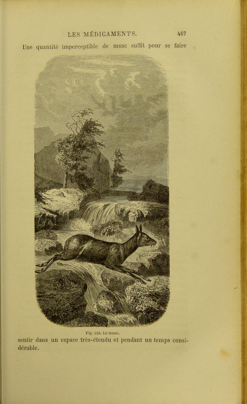 Une quantité imperceptible de musc suffit pour se faire Fig. ï29. Le musc. sentir dans un espace très-ôtendu et pendant un temps consi- dérable.