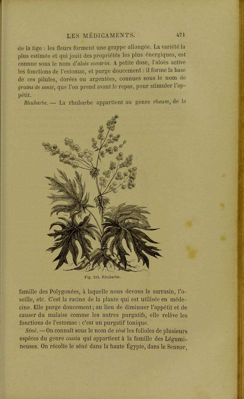 de la tige : les fleurs forment une grappe allongée. La variété la plus estimée et qui jouit des propriétés les plus énergiques, est connue sous le nom d'aloès socotrin. A petite dose, l'aloès active les fonctions de l'estomac, et purge doucement : il forme la base de ces pilules, dorées ou argentées, connues sous le nom de grains de santé, que l'on prend avant le repas, pour stimuler l'ap- pétit. Rhubarbe. — La rhubarbe appartient au genre rheum, de la Fig. 232. Rhubarbe. famille des Polygonées, à laquelle nous devons le sarrasin, l'o- seille, etc. C'est la racine de la plante qui est utilisée en méde- cine. Elle purge doucement; au lieu de diminuer l'appétit et de causer du malaise comme les autres purgatifs, elle relève les fonctions de l'estomac : c'est un purgatif tonique. Séné. — On connaît sous le nom de séné les folioles de plusieurs espèces du genre cassia qui appartient à la famille des Légumi- neuses. On récolte le séné dans la haute Egypte, dans le Sennar,