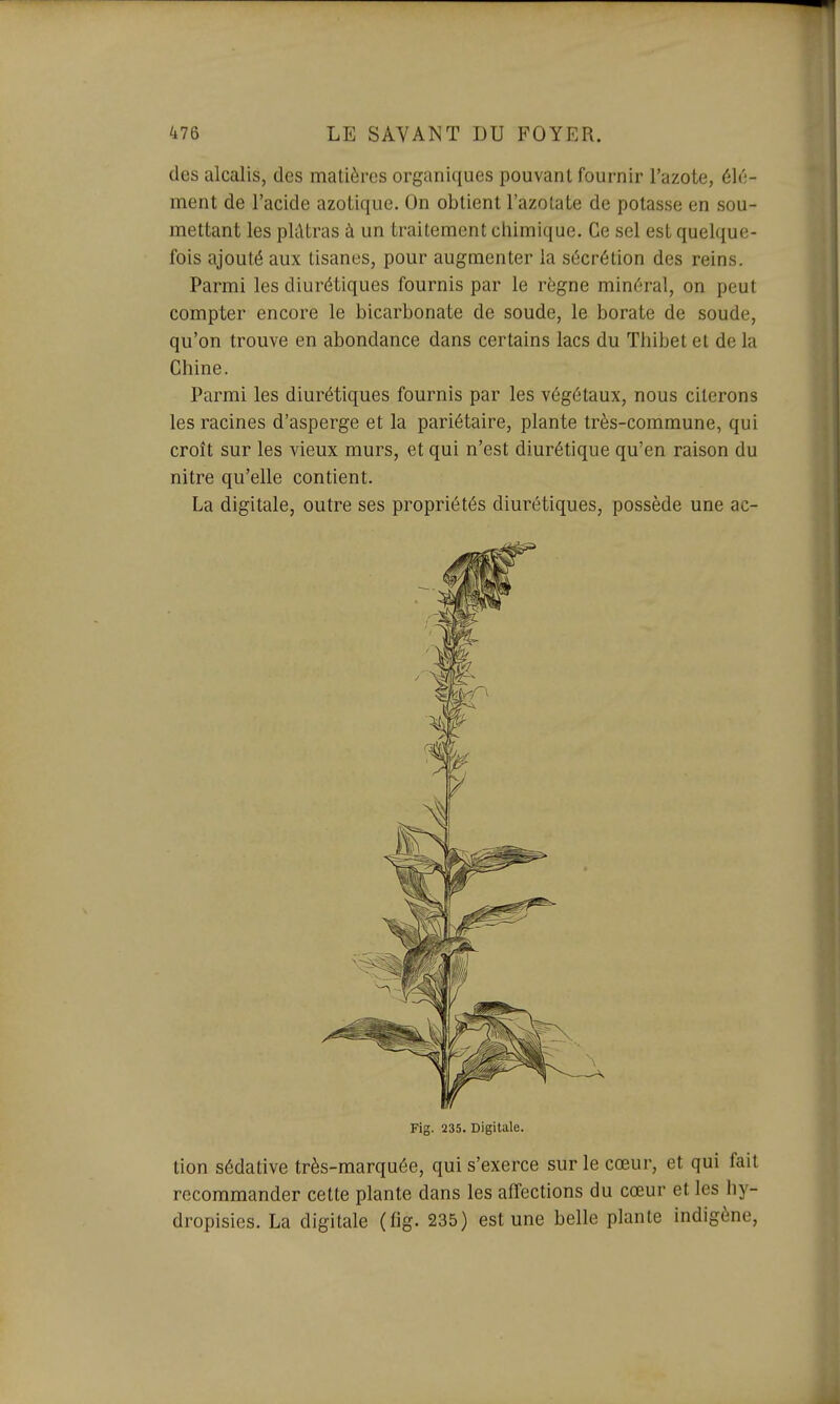 des alcalis, des matières organiques pouvant fournir l'azote, élé- ment de l'acide azotique. On obtient l'azotate de potasse en sou- mettant les plûtras à un traitement chimique. Ce sel est quelque- fois ajouté aux tisanes, pour augmenter la sécrétion des reins. Parmi les diurétiques fournis par le règne minéral, on peut compter encore le bicarbonate de soude, le borate de soude, qu'on trouve en abondance dans certains lacs du Tliibet et de la Chine. Parmi les diurétiques fournis par les végétaux, nous citerons les racines d'asperge et la pariétaire, plante très-commune, qui croît sur les vieux murs, et qui n'est diurétique qu'en raison du nitre qu'elle contient. La digitale, outre ses propriétés diurétiques, possède une ac- Fig. 235. Digitale. tion sédative très-marquée, qui s'exerce sur le cœur, et qui fait recommander cette plante dans les affections du cœur et les hy- dropisies. La digitale (fig. 235) est une belle plante indigène,