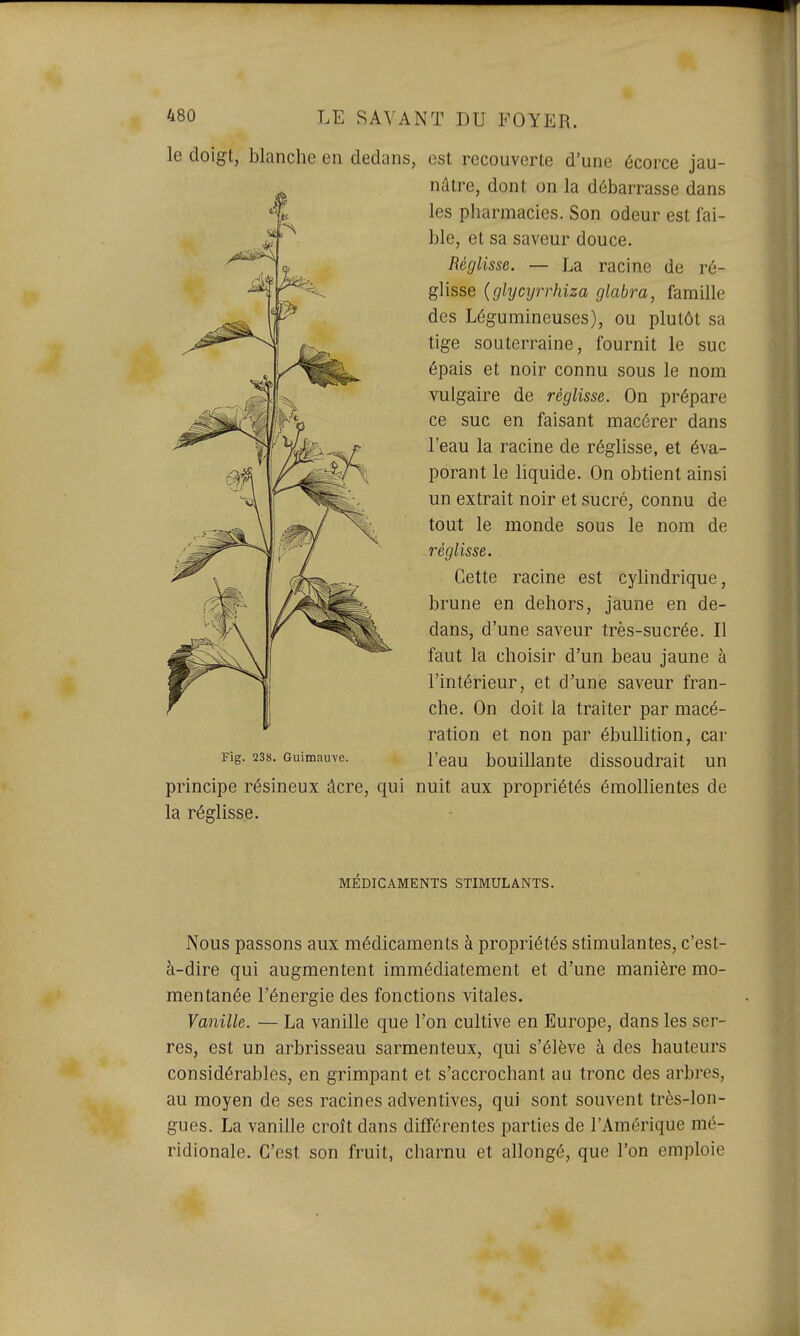 le doigt, blanche en dedans, est recouverte d'une écorce jau- nâtre, dont on la débarrasse dans les pharmacies. Son odeur est fai- ble, et sa saveur douce. Réglisse. — La racine de ré- glisse {glycyrrhiza glabra, famille des Légumineuses), ou plutôt sa tige souterraine, fournit le suc épais et noir connu sous le nom vulgaire de réglisse. On prépare ce suc en faisant macérer dans l'eau la racine de réglisse, et éva- porant le liquide. On obtient ainsi un extrait noir et sucré, connu de tout le monde sous le nom de réglisse. Cette racine est cyhndrique, brune en dehors, jaune en de- dans, d'une saveur très-sucrée. Il faut la choisir d'un beau jaune à l'intérieur, et d'une saveur fran- che. On doit la traiter par macé- ration et non par ébullition, car l'eau bouillante dissoudrait un principe résineux âcre, qui nuit aux propriétés émollientes de la réglisse. MÉDICAMENTS STIMULANTS. Nous passons aux médicaments à propriétés stimulantes, c'est- à-dire qui augmentent immédiatement et d'une manière mo- mentanée l'énergie des fonctions vitales. Vanille. — La vanille que l'on cultive en Europe, dans les ser- res, est un arbrisseau sarmenteux, qui s'élève à des hauteurs considérables, en grimpant et s'accrochant au tronc des arbres, au moyen de ses racines adventives, qui sont souvent très-lon- gues. La vanille croît dans différentes parties de l'Amérique mé- ridionale. C'est son fruit, charnu et allongé, que l'on emploie Fig. 238. Guimauve.