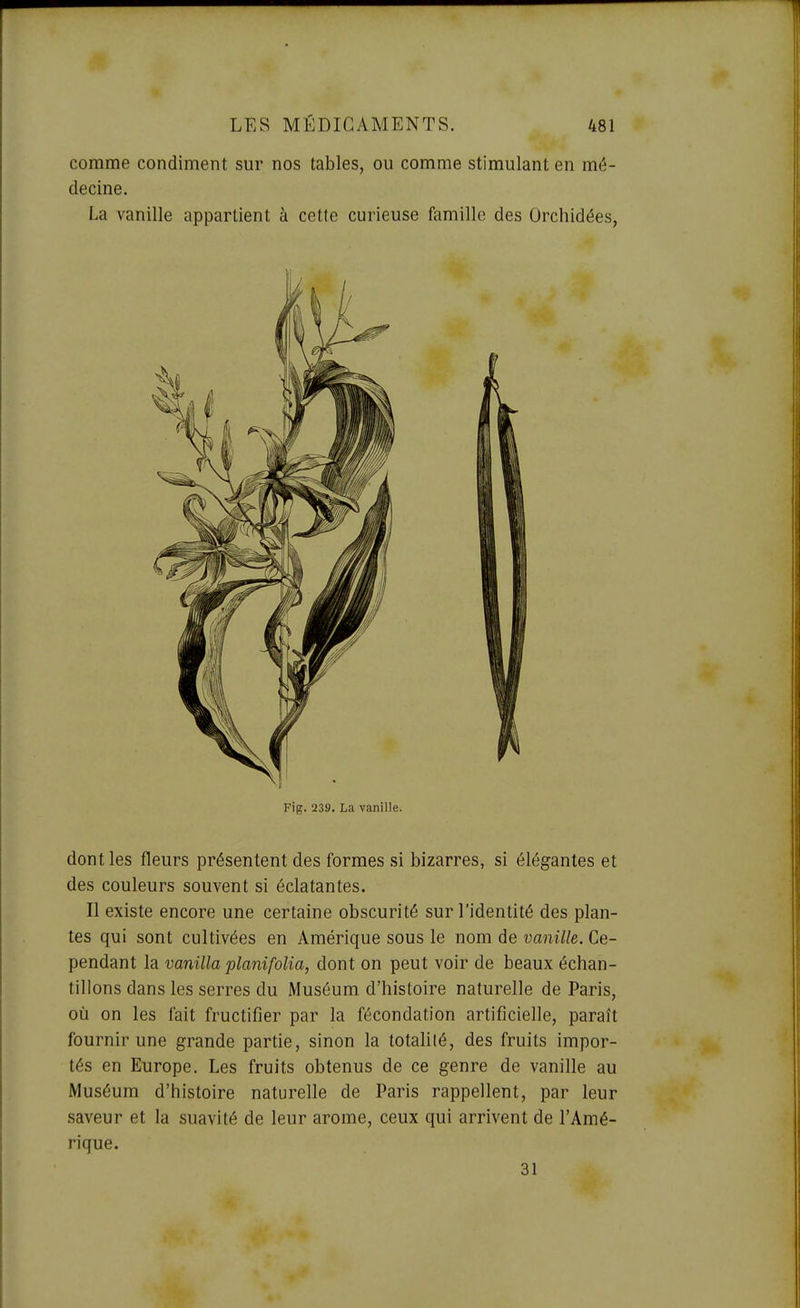 comme condiment sur nos tables, ou comme stimulant en mé- decine. La vanille appartient à cette curieuse famille des Orchidées, Fig. 239. La vanille. dont les fleurs présentent des formes si bizarres, si élégantes et des couleurs souvent si éclatantes. Il existe encore une certaine obscurité sur l'identité des plan- tes qui sont cultivées en Amérique sous le nom de vanille. Ce- pendant la vanilla planifolia, dont on peut voir de beaux échan- tillons dans les serres du Muséum d'histoire naturelle de Paris, où on les fait fructifier par la fécondation artificielle, paraît fournir une grande partie, sinon la totahlé, des fruits impor- tés en Europe. Les fruits obtenus de ce genre de vanille au Muséum d'histoire naturelle de Paris rappellent, par leur saveur et la suavité de leur arôme, ceux qui arrivent de l'Amé- rique. 31