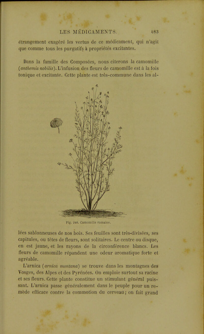 étrangement exagéré les vertus de ce médicament, qui n'agit que comme tous les purgatifs à propriétés excitantes. Dans la famille des Composées, nous citerons la camomille (anthémis nobilis). Vmfusion des fleurs de camomille est à la fois tonique et excitante. Cette plante est très-commune dans les al- Fig. 240. Camomille romaine. lées sablonneuses de nos bois. Ses feuilles sont très-divisées, ses capitules, ou têtes de fleurs, sont solitaires. Le centre ou disque, en est jaune, et les rayons de la circonférence blancs. Les fleurs de camomille répandent une odeur aromatique forte et agréable. L'arnica (armm montana) se trouve dans les montagnes des Vosges, des Alpes et des Pyrénées. On emploie surtout sa racine et ses fleurs. Cette plante constitue un stimulant général puis- sant. L'arnica passe généralement dans le peuple pour un re- mède eflicace contre la commotion du cerveau; on fait grand