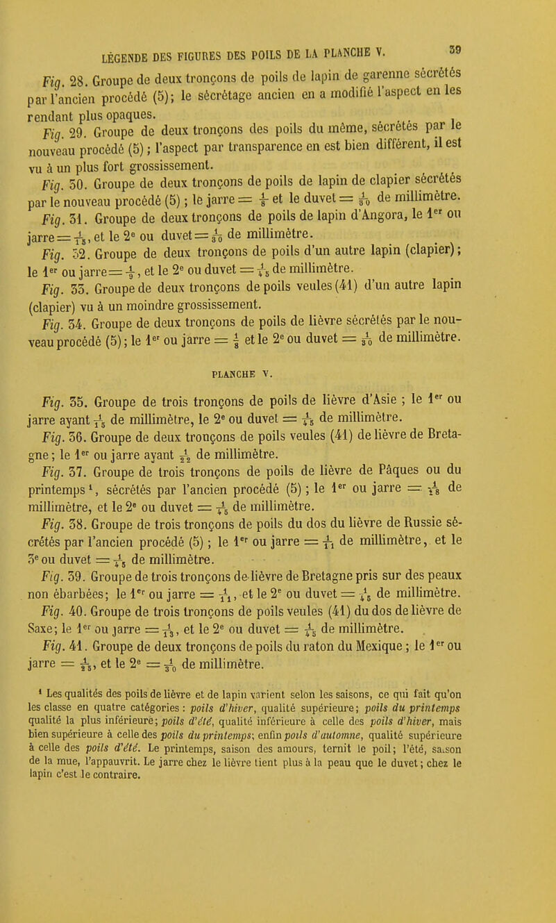 Fia 28 Groupe de deux tronçons de poils de lapin de garenne sécrétés par l'ancien procédé (5); le sècrétage ancien en a modifié l'aspect en les rendant plus opaques. Fig. 29. Groupe de deux tronçons des poils du même, secrètes par le nouveau procédé (5) ; l'aspect par transparence en est bien différent, il est vu à un plus fort grossissement. Fig. 50. Groupe de deux tronçons de poils de lapin de clapier sécrétés par le nouveau procédé (5) ; le jarre = f et le duvet = f, de millimètre. Fig. 31. Groupe de deux tronçons de poils de lapin d'Angora, le 1 ou jarre=-iîis, et le 2« ou duvet = 3^ de millimètre. Fig. 52. Groupe de deux tronçons de poils d'un autre lapin (clapier); le 1 ou jarre= i, et le 2« ou duvet = f^ de millimètre. Fig. 35. Groupe de deux tronçons de poils veules{41) d'un autre lapin (clapier) vu à un moindre grossissement. Fig. 54. Groupe de deux tronçons de poils de lièvre sécrétés par le nou- veau procédé (5) ; le 1 ou jarre = i et le 2« ou duvet = de millimètre. PLANCHE V. Fig. 35. Groupe de trois tronçons de poils de lièvre d'Asie ; le l ou jarre ayant de millimètre, le 2' ou duvet = de millimètre. Fig. 36. Groupe de deux tronçons de poils veules (41) de lièvre de Breta- gne ; le 1 ou jarre ayant de millimètre. Fig. 37. Groupe de trois tronçons de poils de lièvre de Pâques ou du printemps', sécrétés par l'ancien procédé (5) ; le 1 ou jarre = -^-8 de millimètre, et le 2 ou duvet = de millimètre. Fig. 38. Groupe de trois tronçons de poils du dos du lièvre de Russie sé- crétés par l'ancien procédé (5) ; le 1'' ou jarre = f, de millimètre, et le 3= ou duvet = ^5 de millimètre. Fig. 39. Groupe de trois tronçons de lièvre de Bretagne pris sur des peaux non ébarbées; le 1'' ou jarre = 2' ou duvet = de millimètre. Fig. 40. Groupe de trois tronçons de poils veules (41) du dos de lièvre de Saxe; le ou jarre = ^ig, et le 2* ou duvet = de millimètre. Fig. 41. Groupe de deux tronçons de poils du raton du Mexique ; le i ou jarre = fj, et le 2^ = ^i, de millimètre. * Les qualités des poils de lièvre et de lapin varient selon les saisons, ce qui fait qu'on les classe en quatre catégories : poils d'hiver, qualité supérieure ; poils du printemps qualité la plus inférieure ; ;3027s d'élé, qualité inférieure à celle des poils d'hiver, mais bien supérieure à celle des j)oi/« du printemps; enûn poils d'automne, qualité supérieure à celle des poils d'été. Le printemps, saison des amours, ternit le poil; l'été, saison de la mue, l'appauvrit. Le jarre chez le lièvre tient plus à la peau que le duvet ; chez le lapin c'est Je contraire.