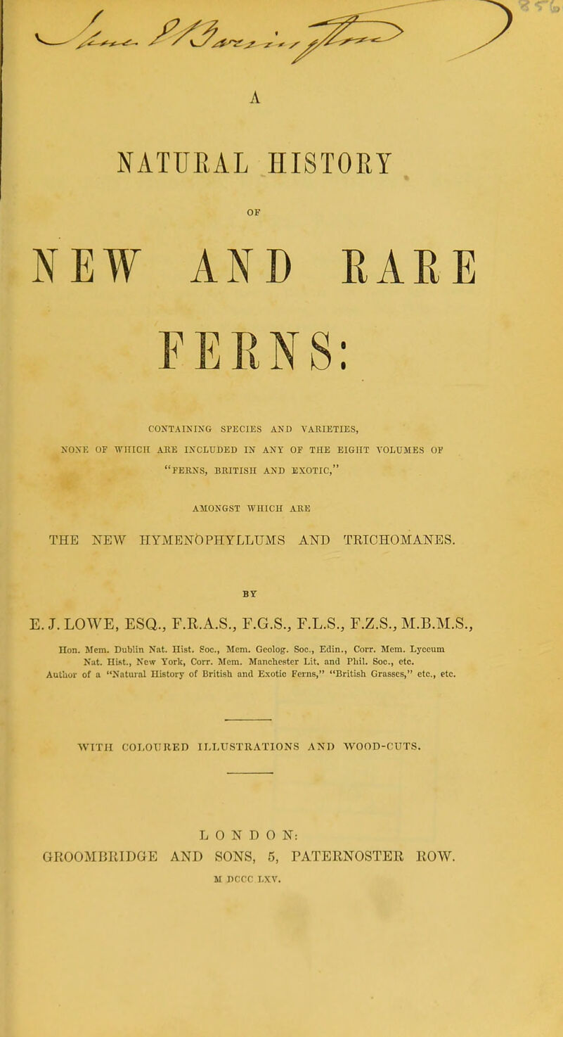 A NATURAL HISTORY OF NEW AND RARE FERNS: CONTAINING SPECIES AND VARIETIES, NONE OF WITICII ABE INCLUDED IN ANY OF THE EIGHT VOLUMES OF FERNS, BRITISH AND EXOTIC, AMONGST WHICH ARE THE NEW H YMENO PHYLLUMS AND TRICHOMANES. BY E. J. LOWE, ESQ., F.R.A.S., F.G.S., F.L.S., F.Z.S., M.B.M.S., Hon. Mem. Dublin Nat. Hist. Soc, Mem. Geolog. Soe., Edin., Corr. Mem. Lyceum Nat. Hist., New York, Corr. Mem. Manchester Lit. and Phil. Soc, etc. Author of a Natural History of British and Exotic Ferns, British Grasses, etc., etc. WITH COLOURED ILLUSTRATIONS AND WOOD-CUTS. LONDON: GROOMBRIDGE AND SONS, 5, PATERNOSTER ROW. M DCCC LXV.