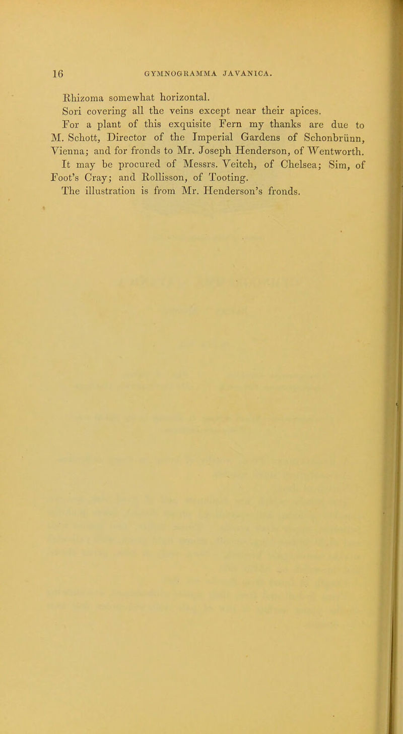 16 GYMNOGKAMMA JAVAN1CA. Khizoma somewhat horizontal. Sori covering all the veins except near their apices. For a plant of this exquisite Fern my thanks are due to M. Schott, Director of the Imperial Gardens of Schonbriinn, Vienna; and for fronds to Mr. Joseph Henderson, of Wentworth. It may be procured of Messrs. Veitch, of Chelsea; Sim, of Foot's Cray; and Rollisson, of Tooting. The illustration is from Mr. Henderson's fronds.