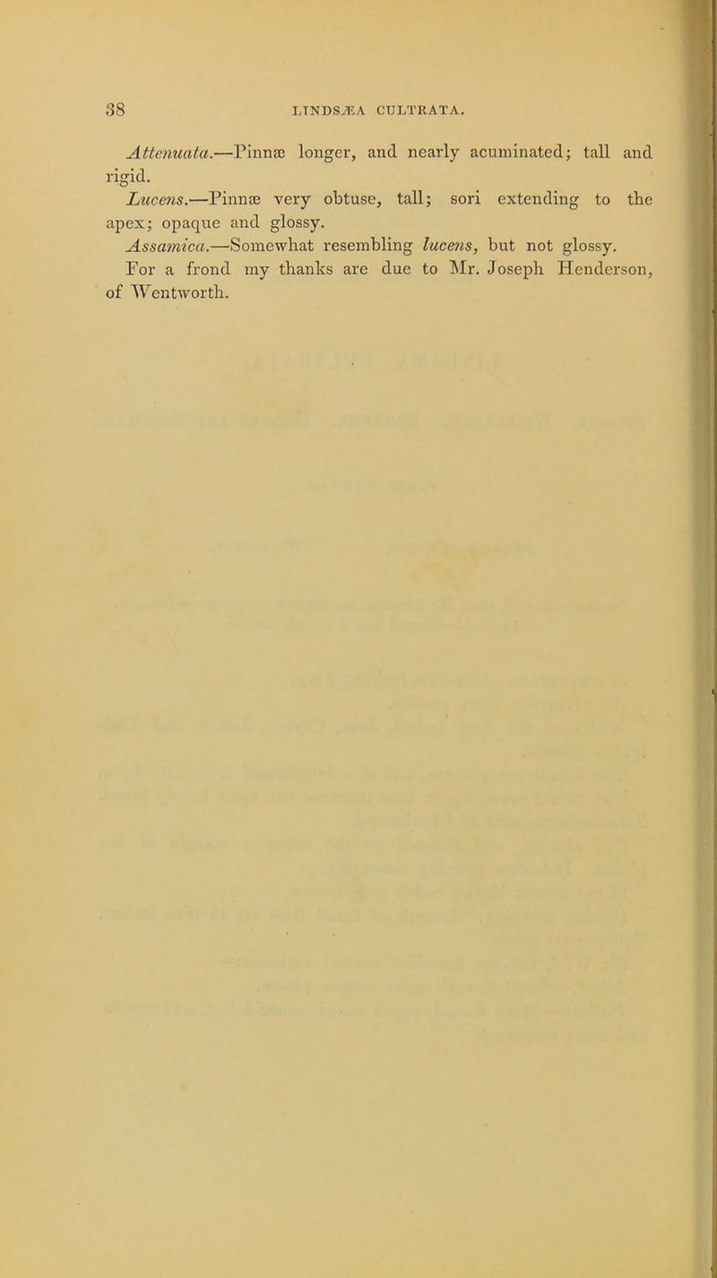 38 LTNDS7KA CULTRATA. Attenuala.—Pinnae longer, and nearly acuminated; tall and rigid. Lucens.—Pinnae very obtuse, tall; sori extending to the apex; opaque and glossy. Assamica.—Somewhat resembling lucens, but not glossy. For a frond my thanks are due to Mr. Joseph Henderson,