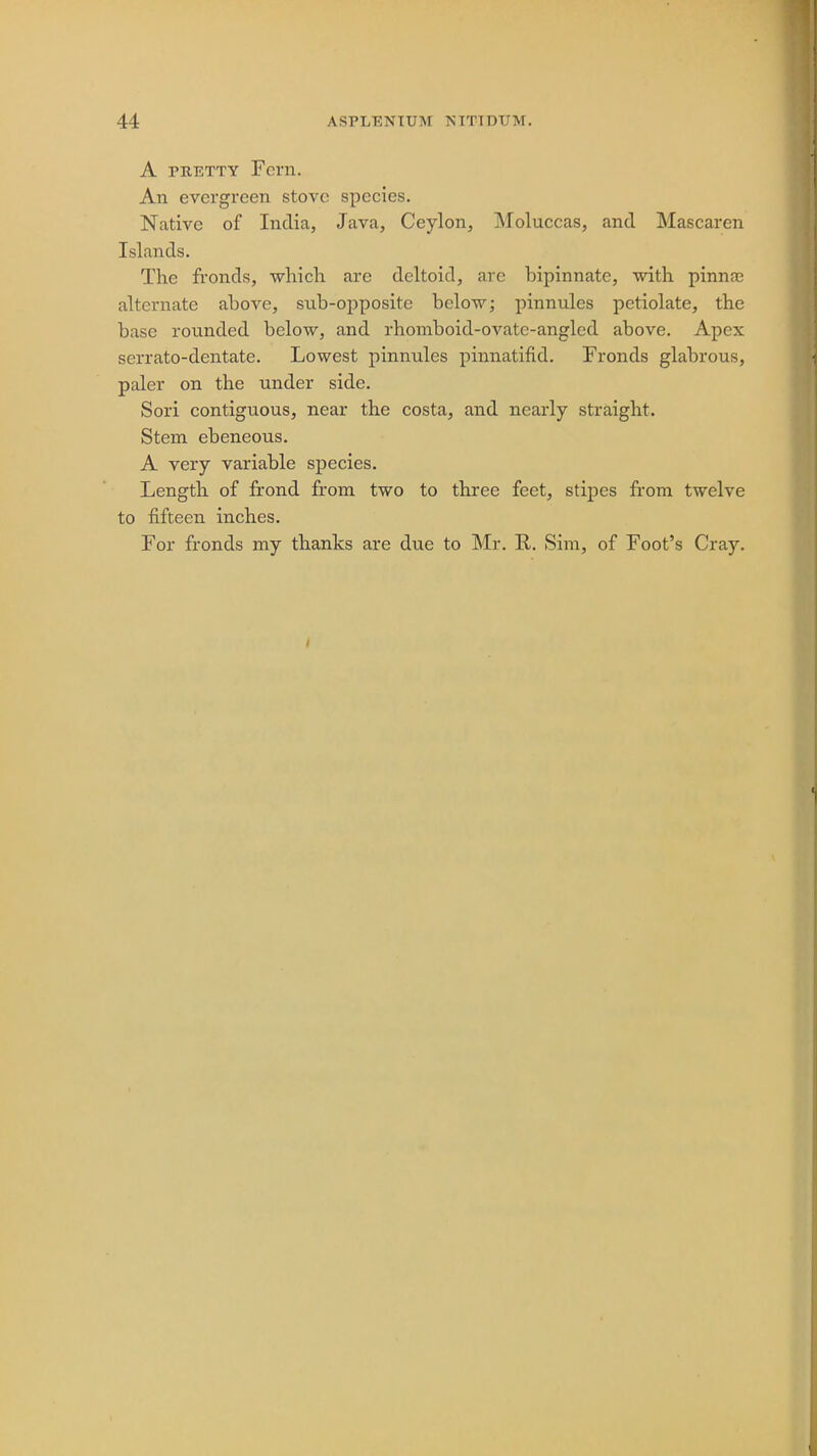 A pretty Fern. An evergreen stove species. Native of India, Java, Ceylon, Moluccas, and Mascaren Islands. The fronds, which are deltoid, are hipinnate, with pinna? alternate above, sub-opposite below; pinnules petiolate, the base rounded below, and rhomboid-ovatc-angled above. Apex serrato-dentate. Lowest pinnules pinnatifid. Fronds glabrous, paler on the under side. Sori contiguous, near the costa, and nearly straight. Stem ebeneous. A very variable species. Length of frond from two to three feet, stipes from twelve to fifteen inches. For fronds my thanks are due to Mr. R. Sim, of Foot's Cray.